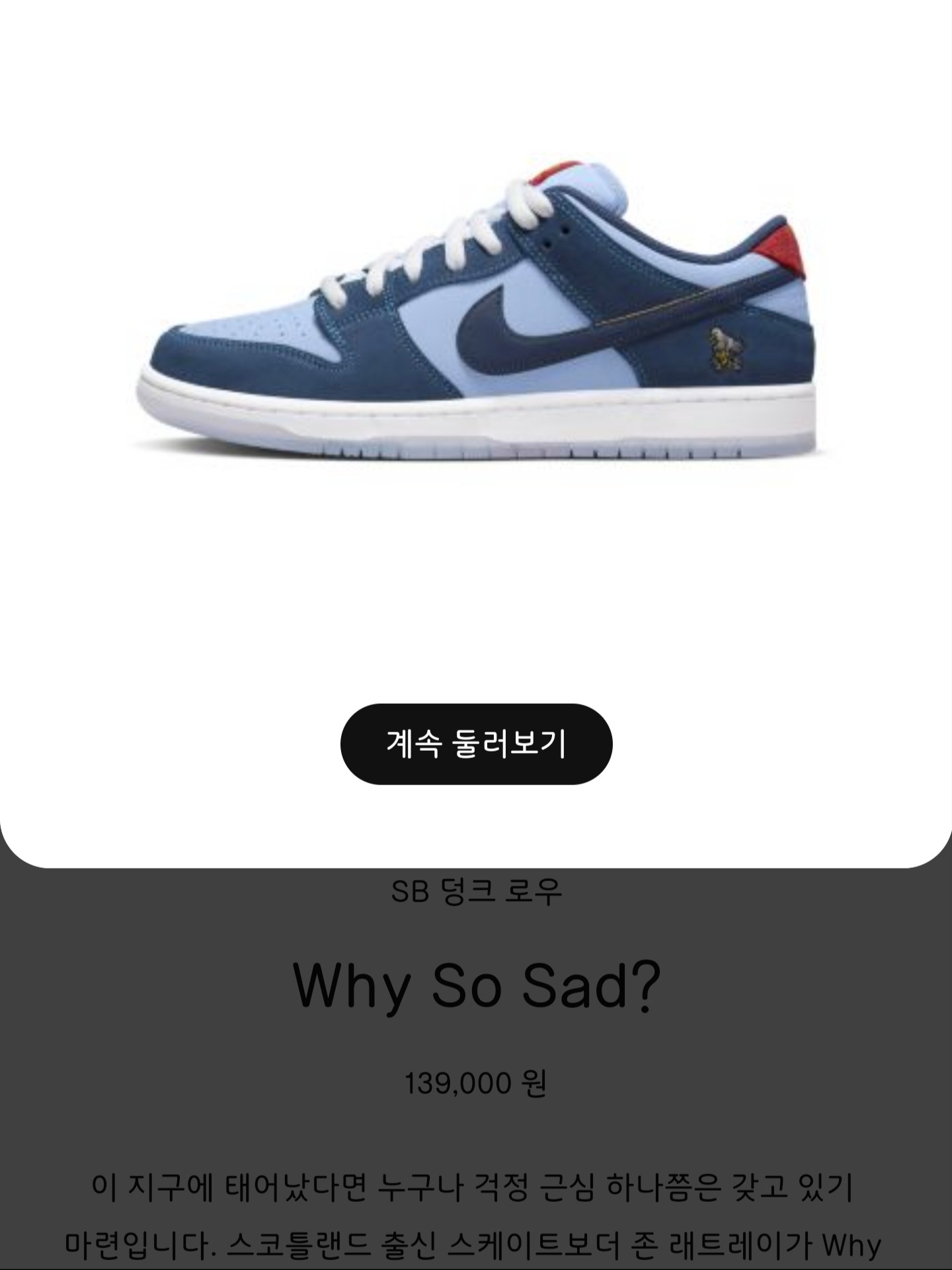 Nike x Why So Sad? SB Dunk Low Pro Coastal Blue 착용 스타일