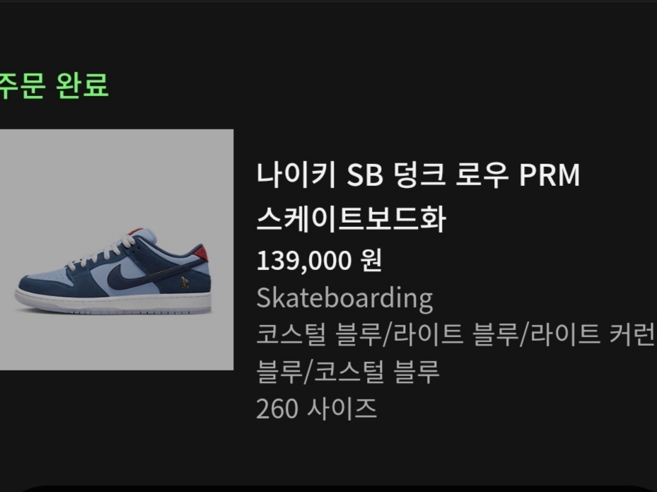 Nike x Why So Sad? SB Dunk Low Pro Coastal Blue 착용 스타일