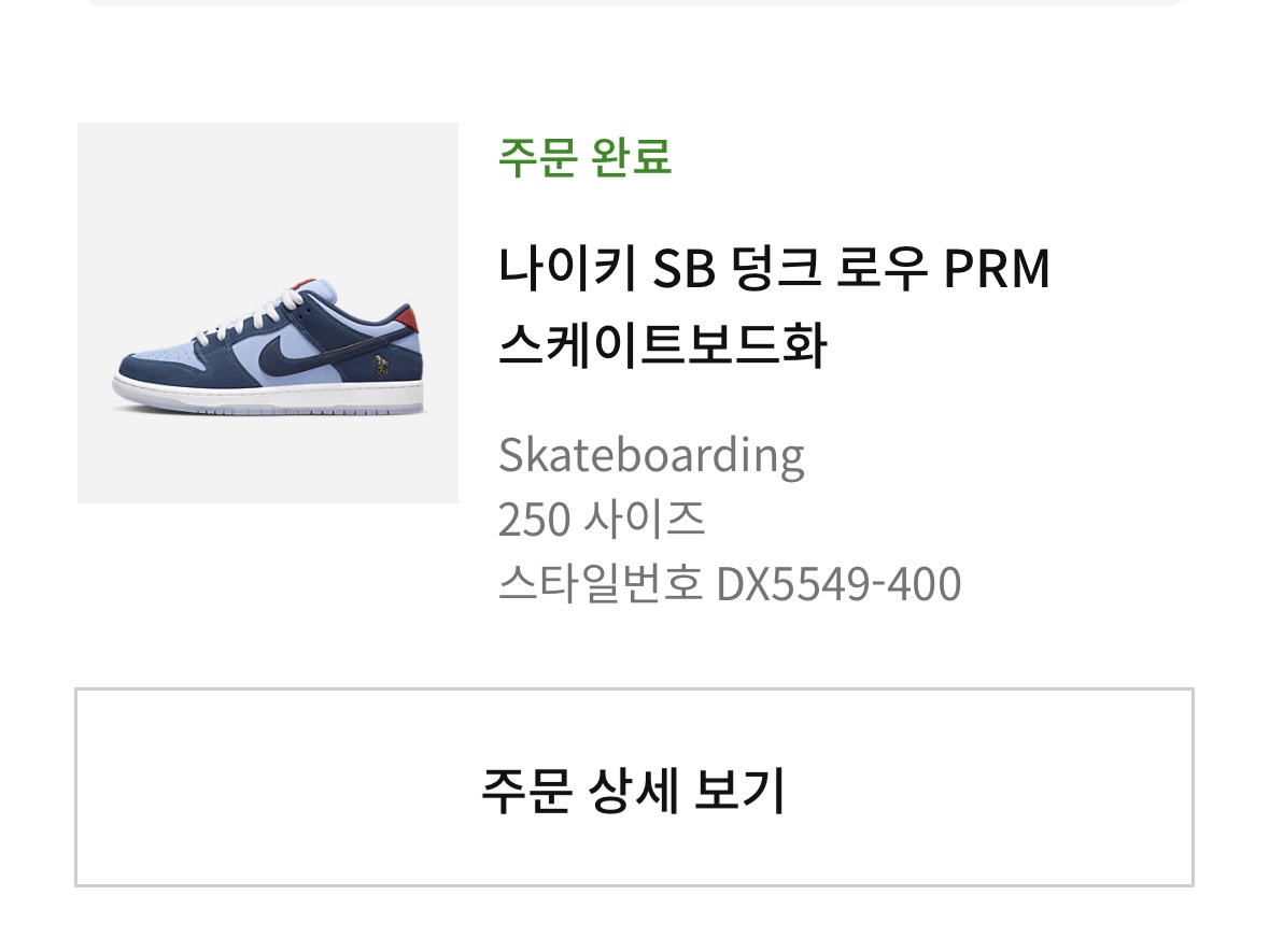 Nike x Why So Sad? SB Dunk Low Pro Coastal Blue 착용 스타일