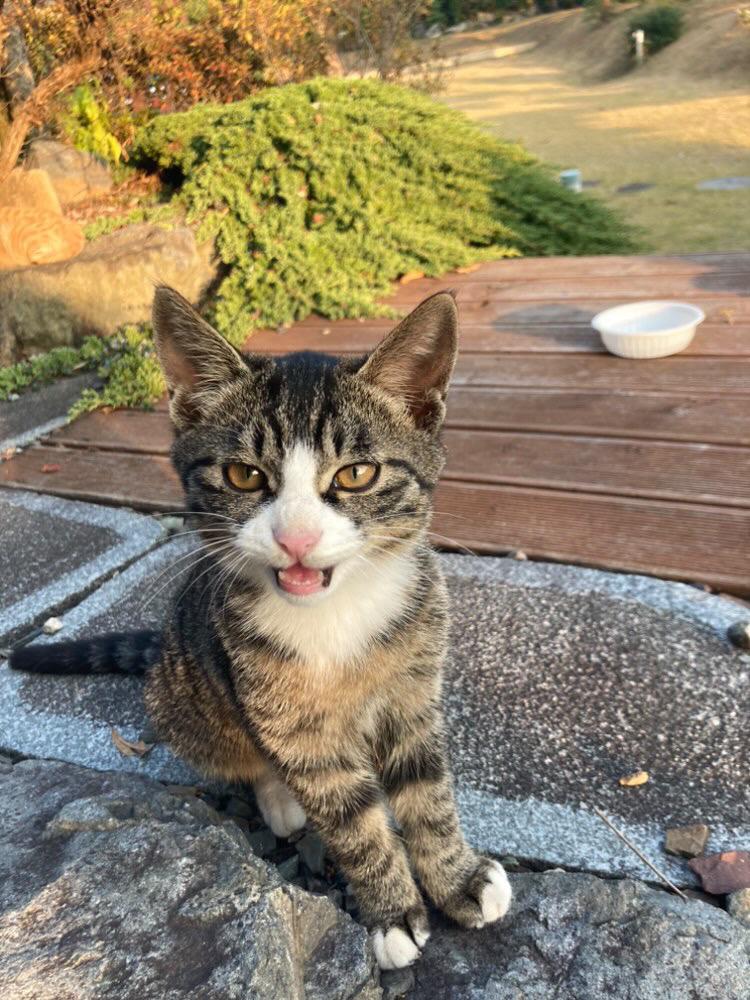 관심 유저 프로필 이미지