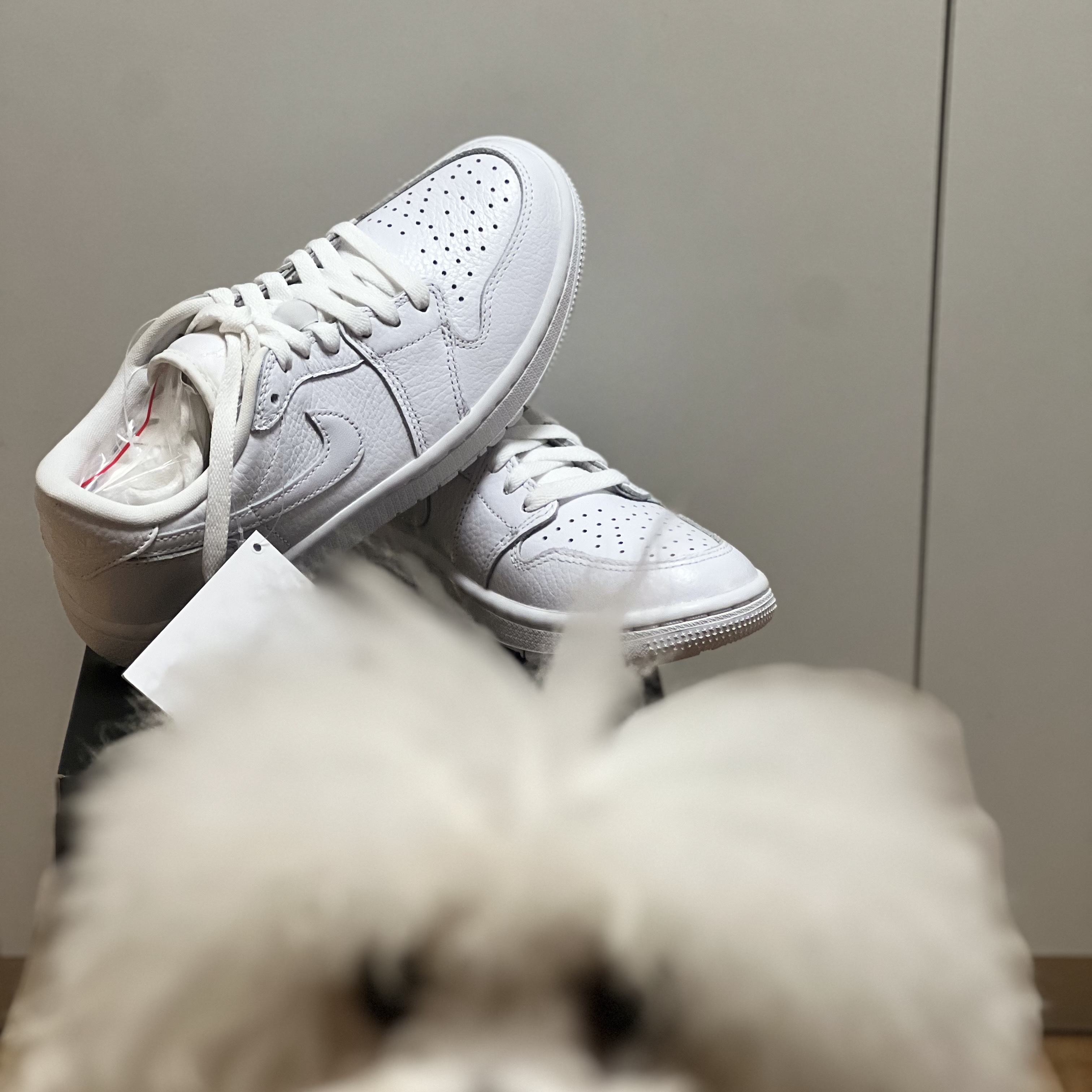 Jordan 1 Low Golf Triple White 착용 스타일 - 1