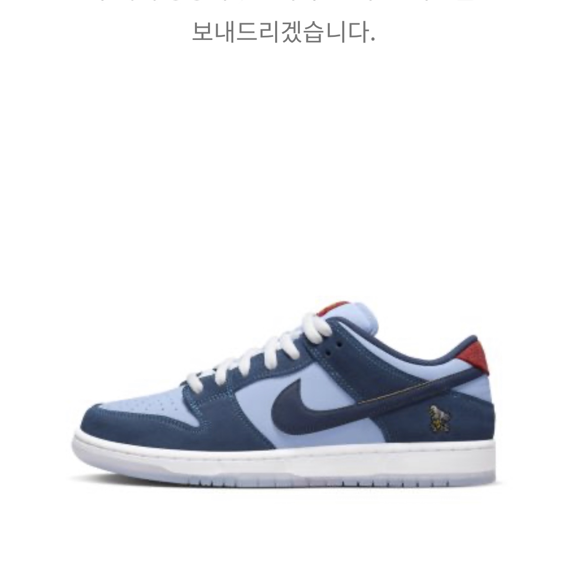 Nike x Why So Sad? SB Dunk Low Pro Coastal Blue 착용 스타일