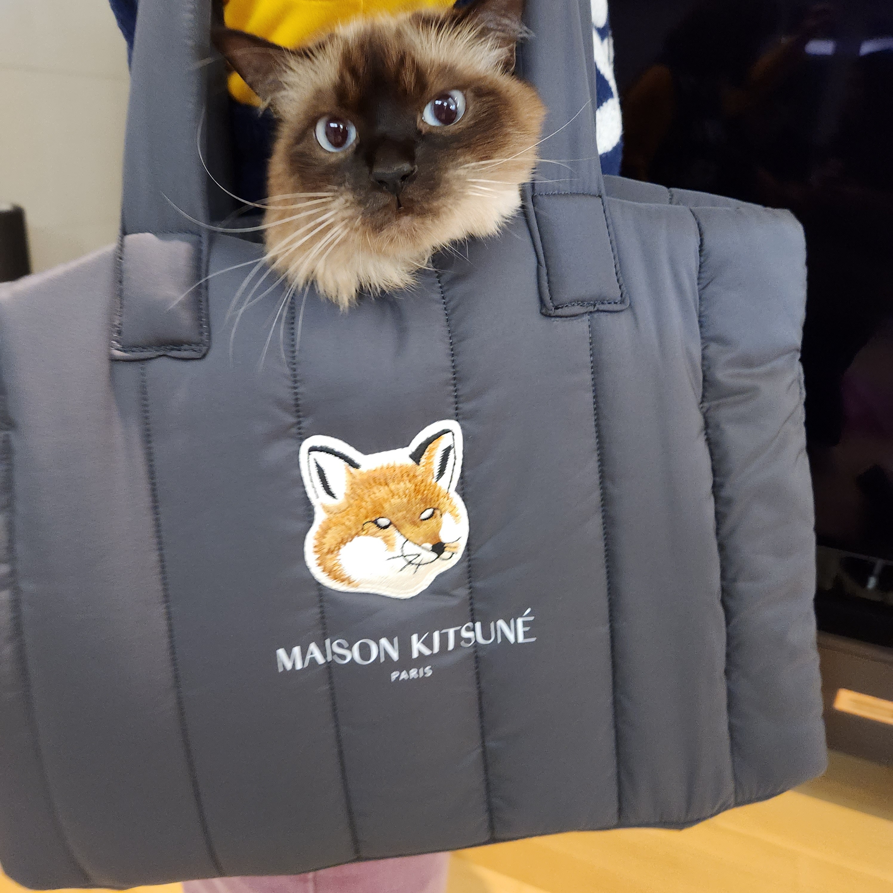 Maison Kitsune x Laneige Padded Bag Navy 착용 스타일 - 1