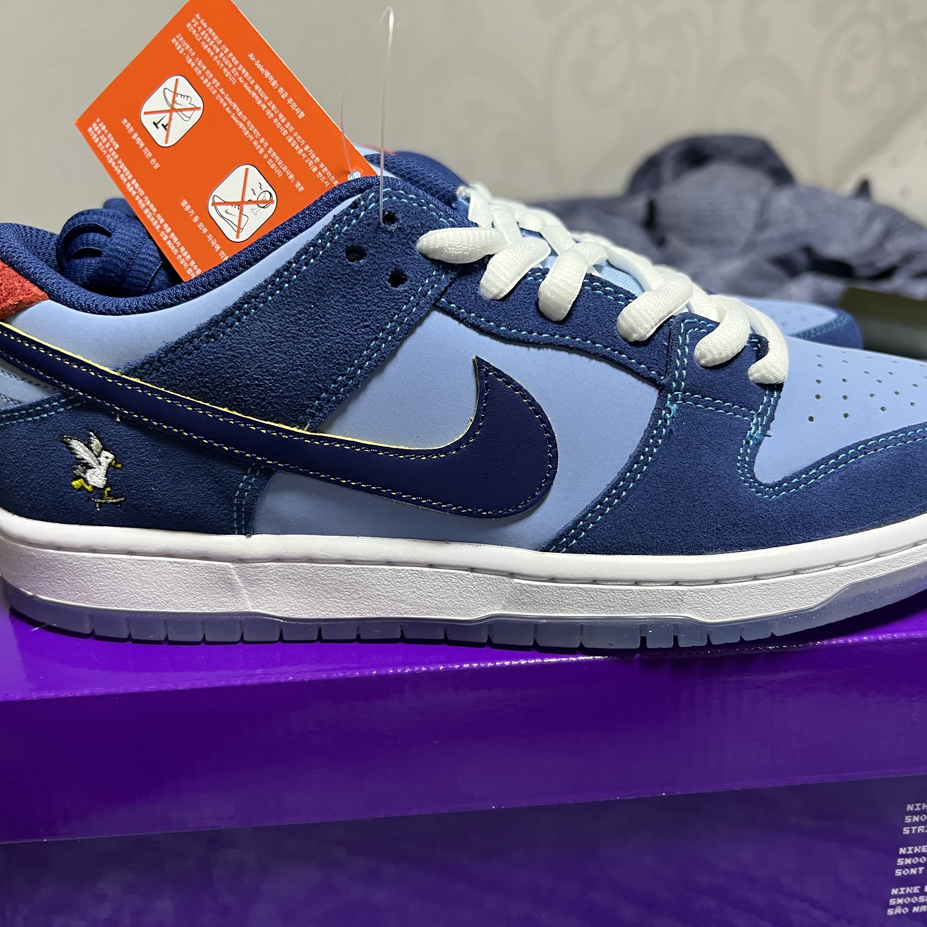 Nike x Why So Sad? SB Dunk Low Pro Coastal Blue 착용 스타일 - 2