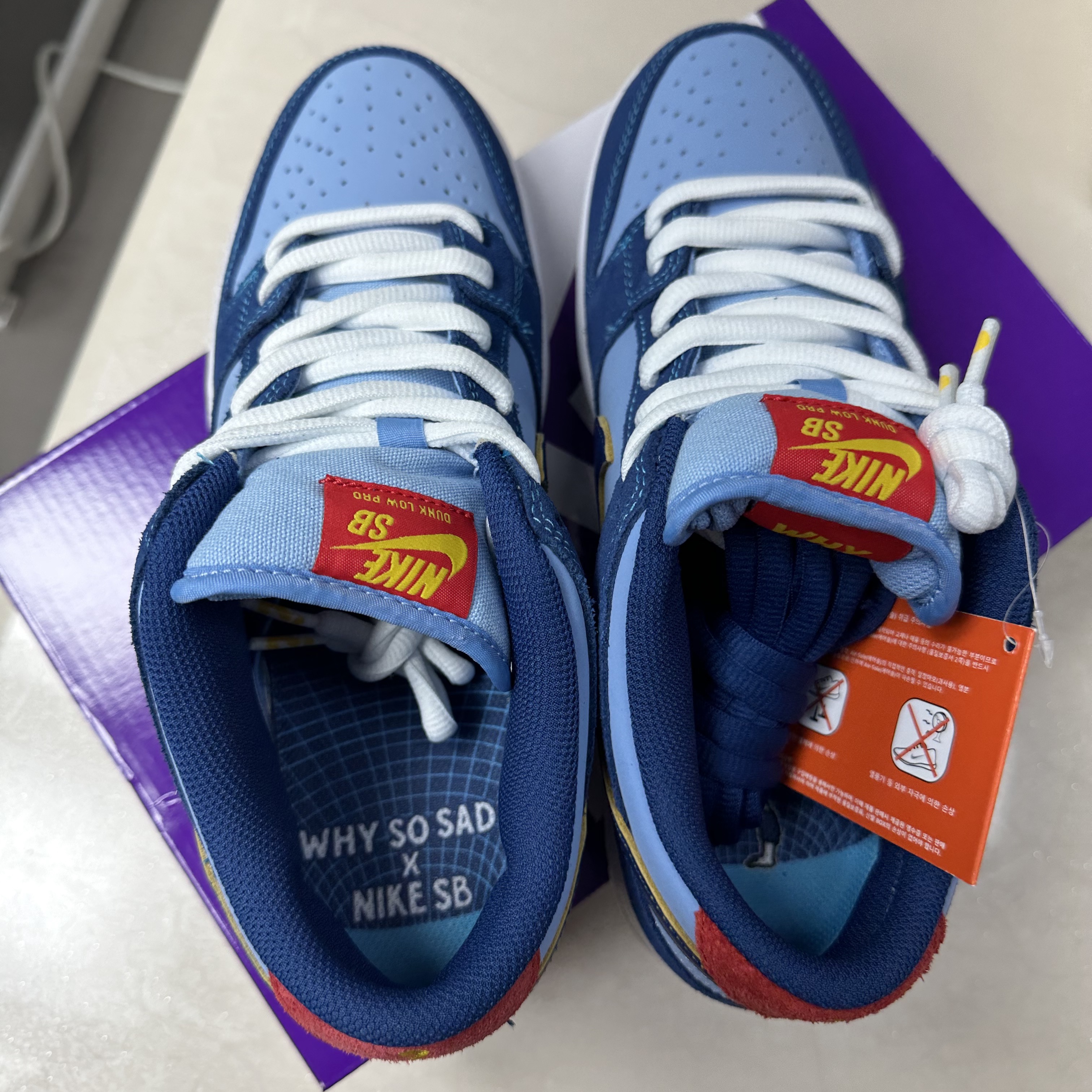 Nike x Why So Sad? SB Dunk Low Pro Coastal Blue 착용 스타일 - 5