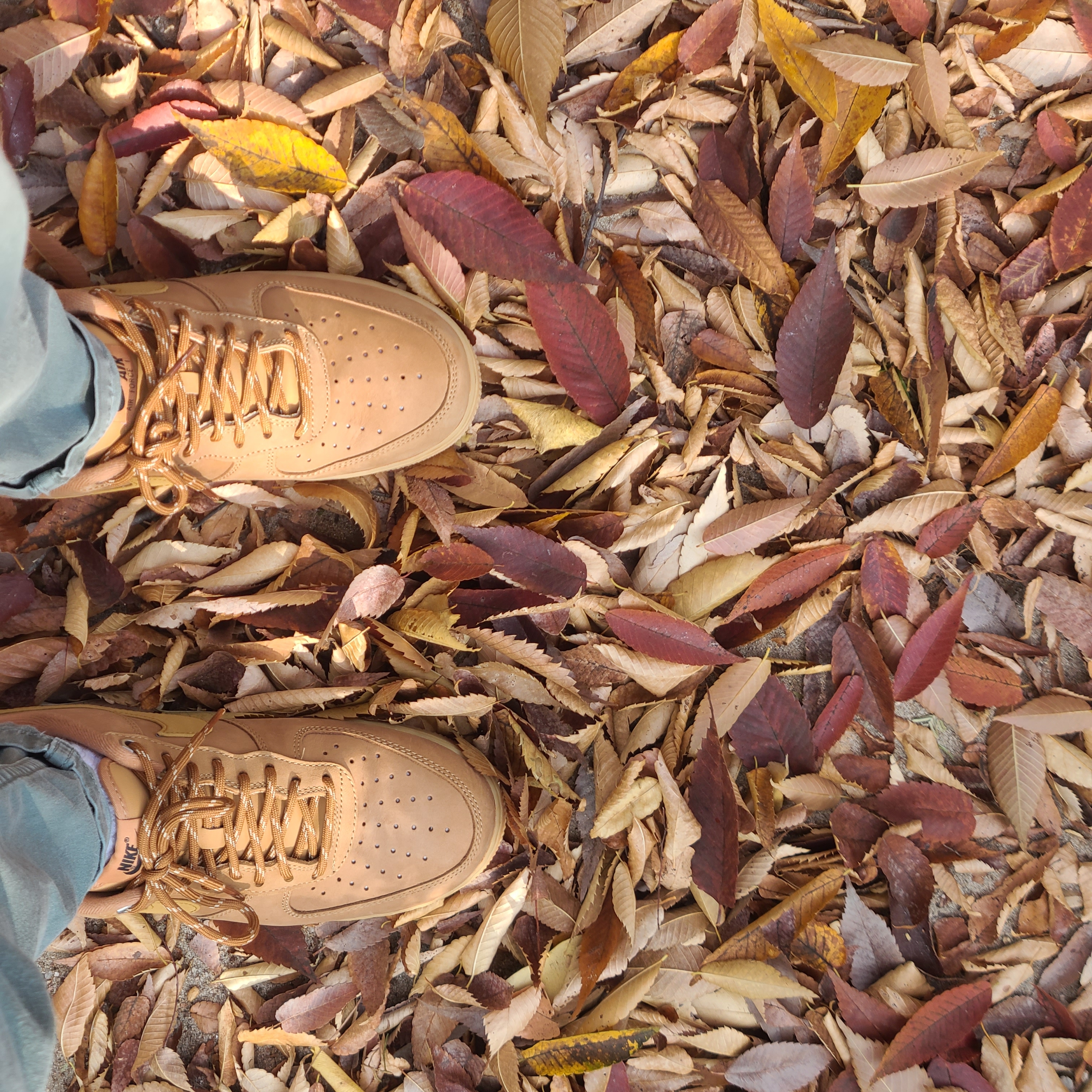 Nike Air Force 1 '07 WB Flax 착용 스타일