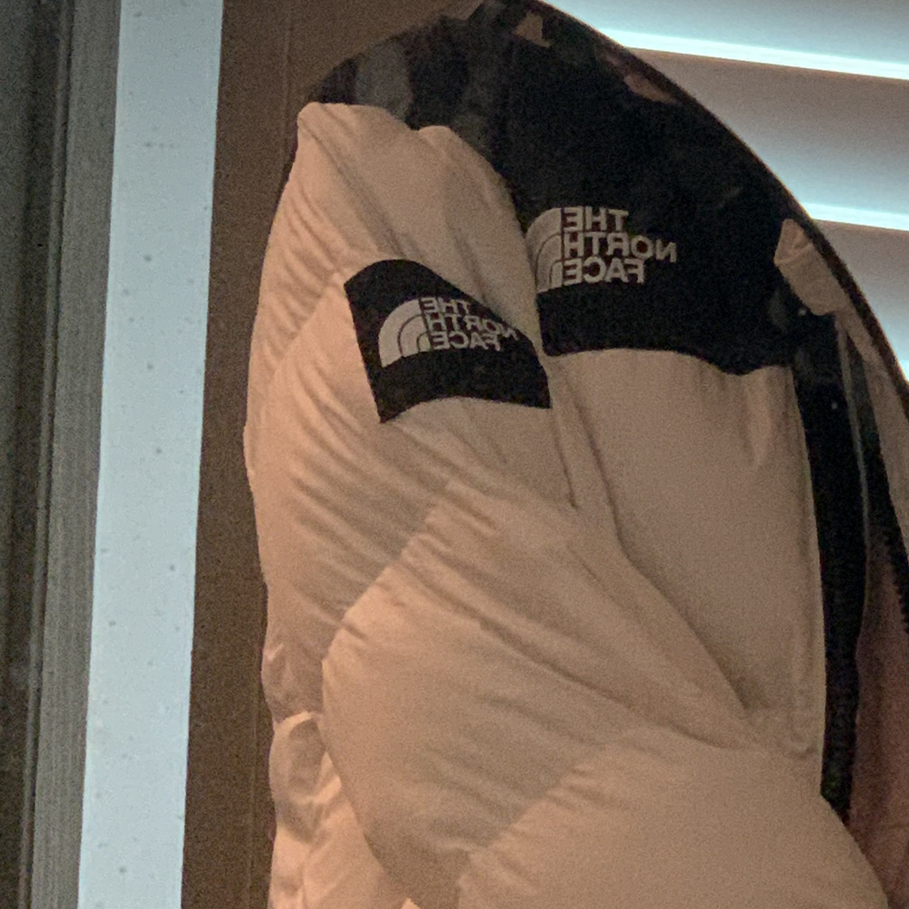 The North Face Novelty Nuptse Down Jacket Cream 착용 스타일 - 2