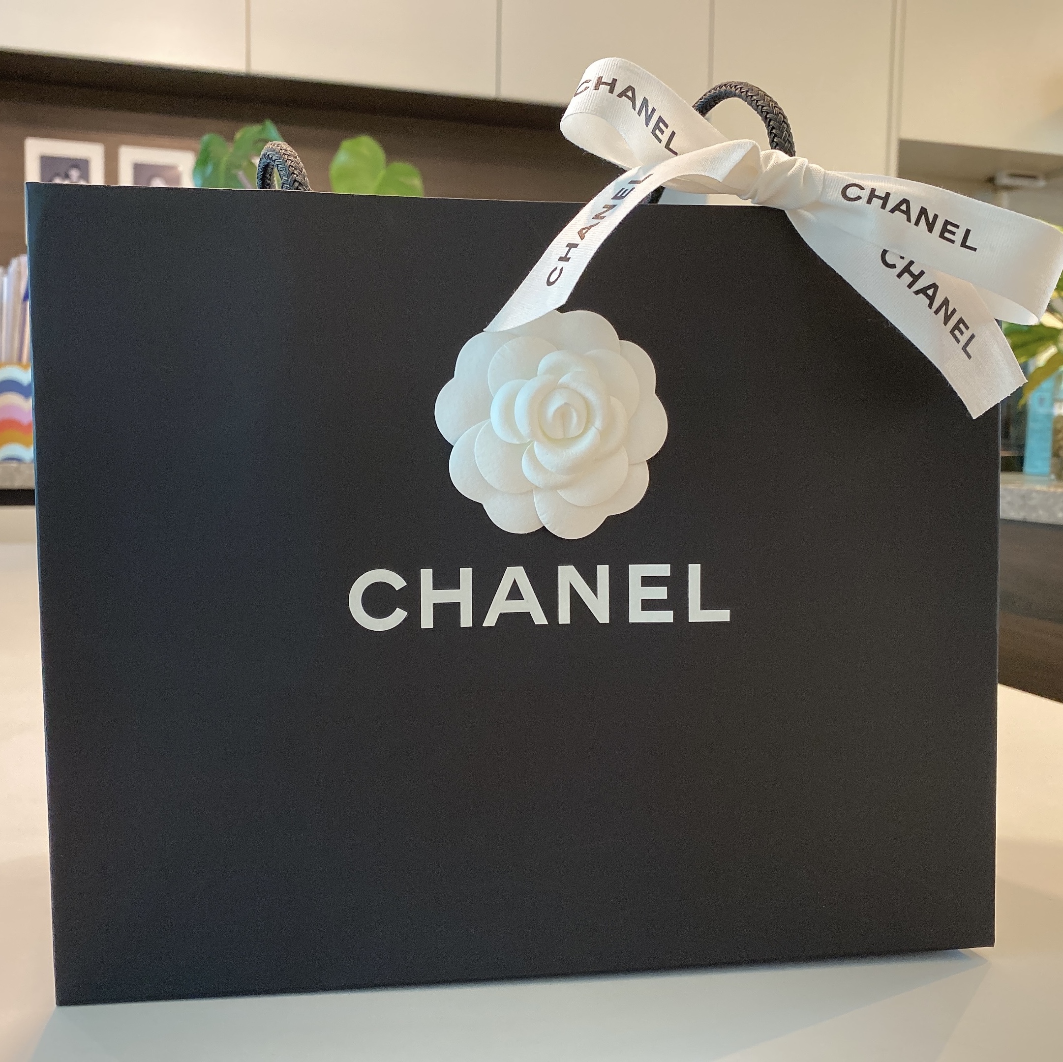 Chanel Wallet On Chain Lambskin & Gold Black 착용 스타일 - 1