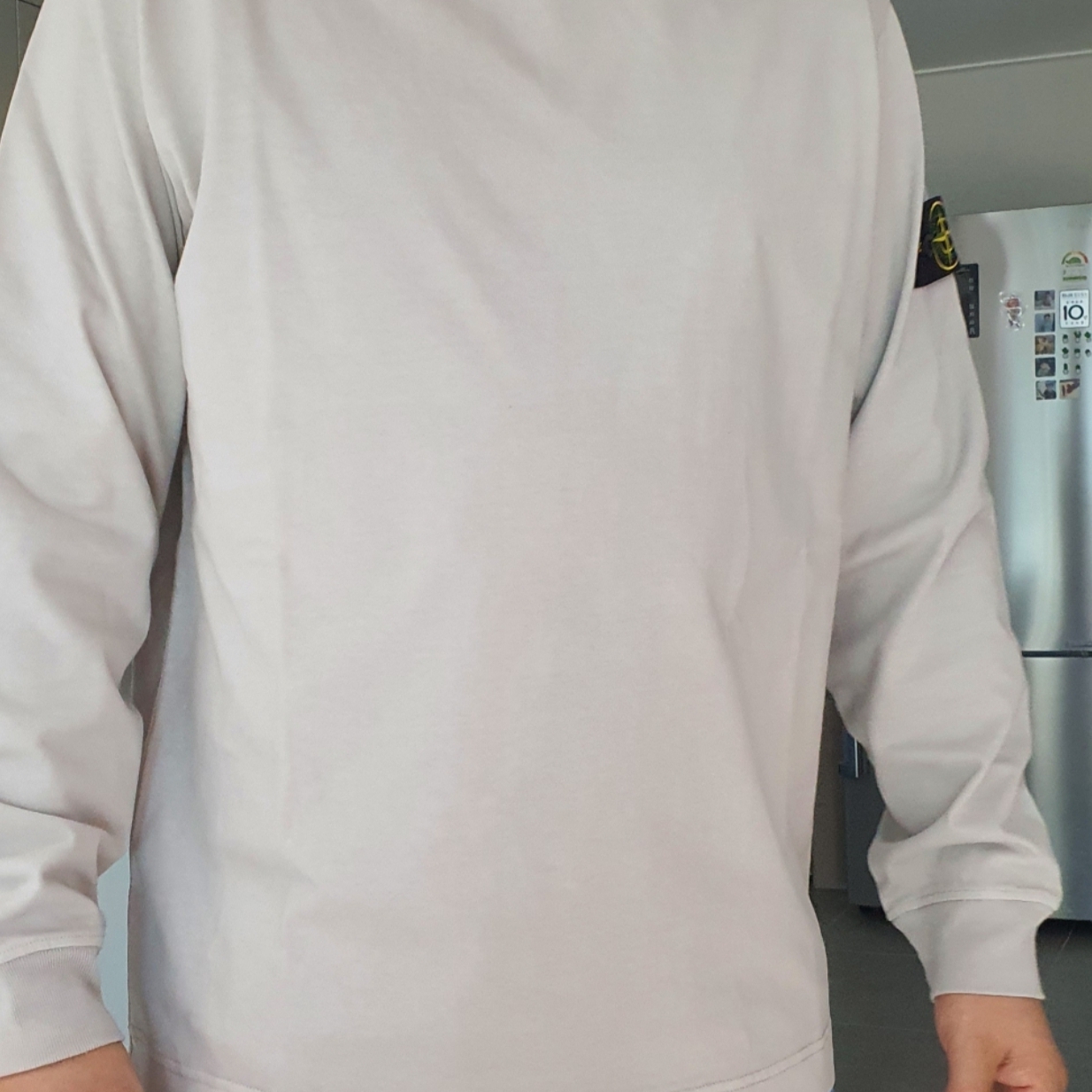 Stone Island 63051 Crewneck Sweatshirt Ice - 22SS 착용 스타일