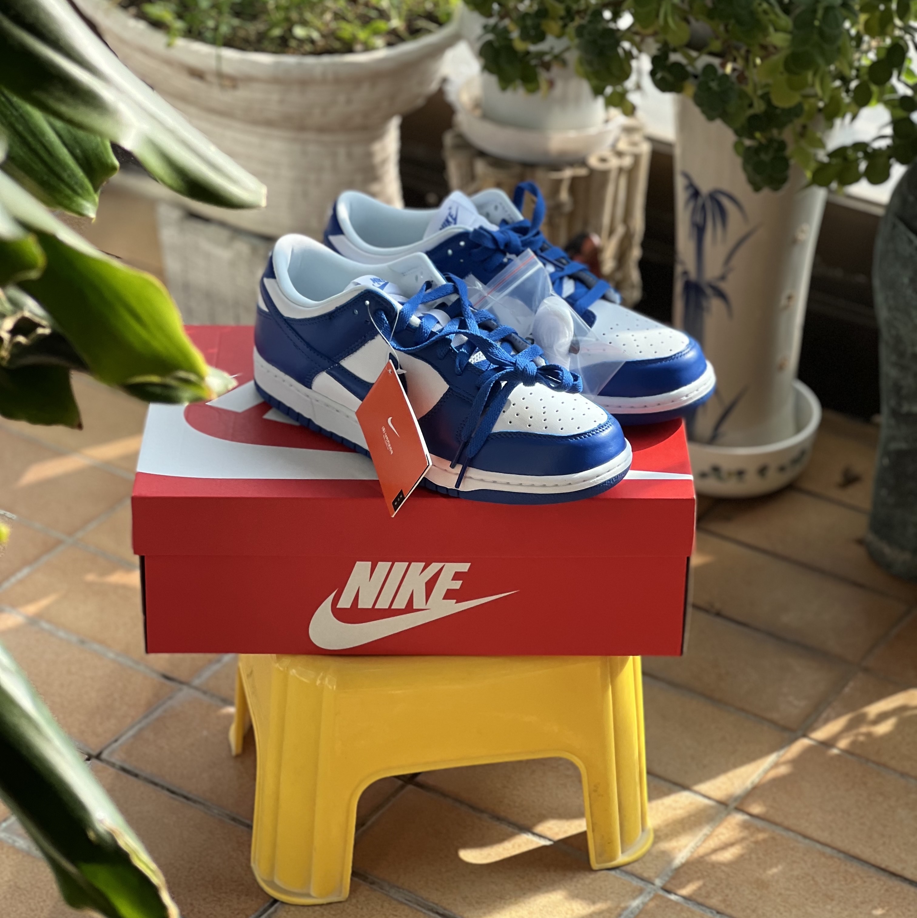 Nike Dunk Low SP Kentucky 2022 착용 스타일 - 3