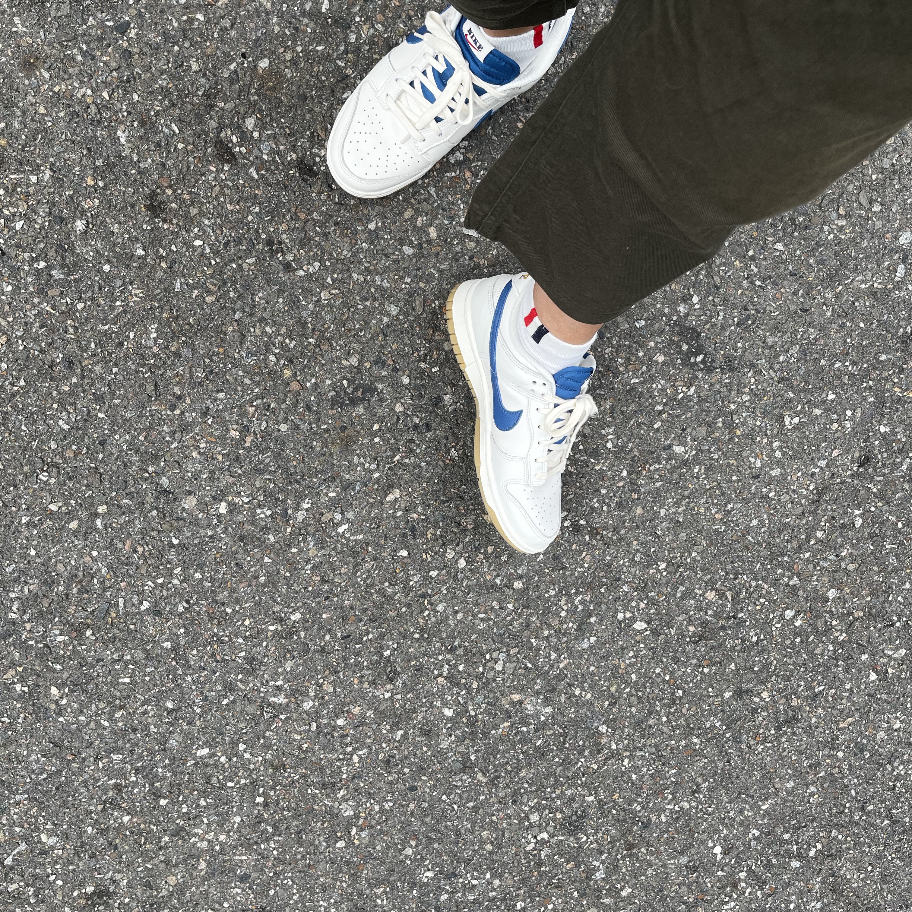 Nike Dunk Low SE Sail Dark Marina Blue 착용 스타일 - 1