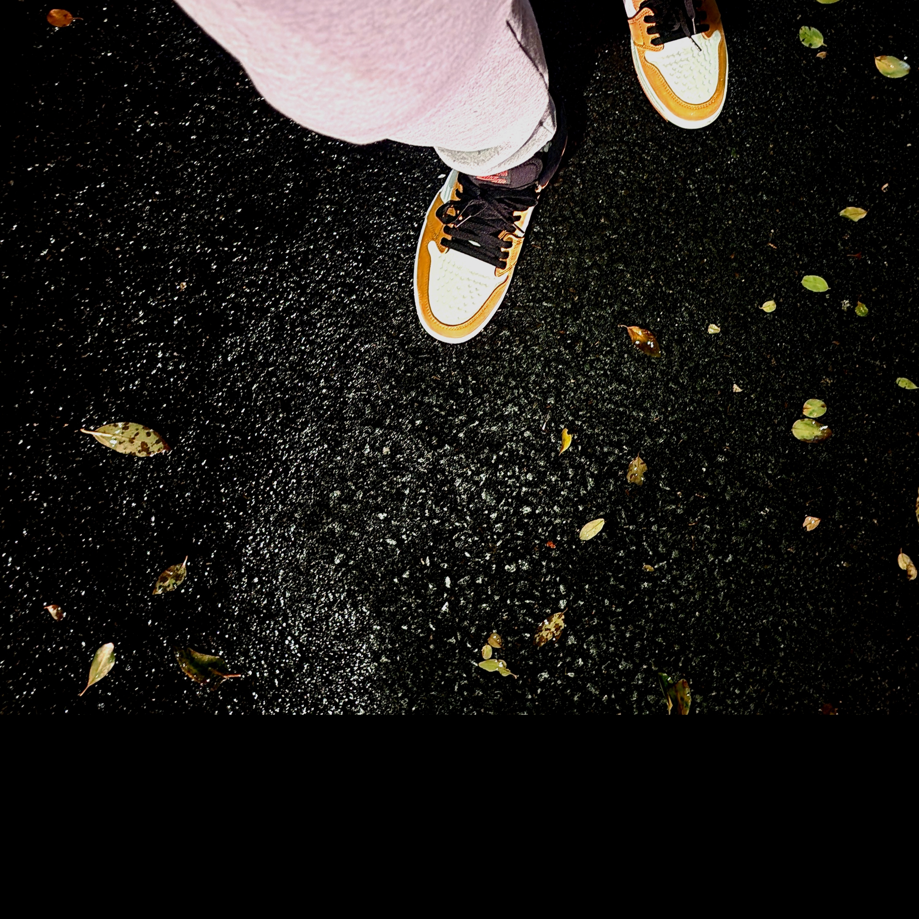 Jordan 1 Element Gore-Tex Light Curry 착용 스타일