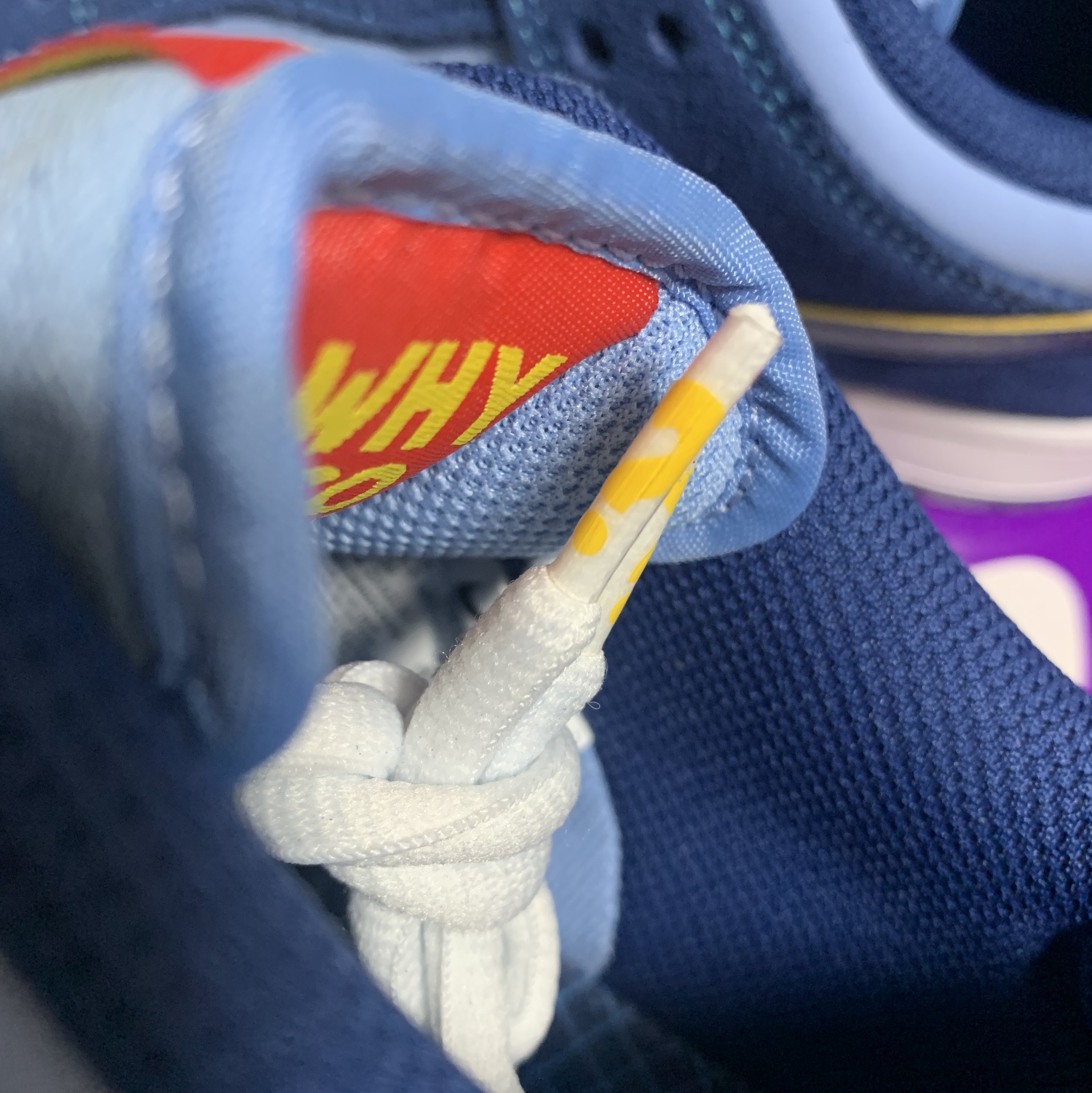 Nike x Why So Sad? SB Dunk Low Pro Coastal Blue 착용 스타일 - 3