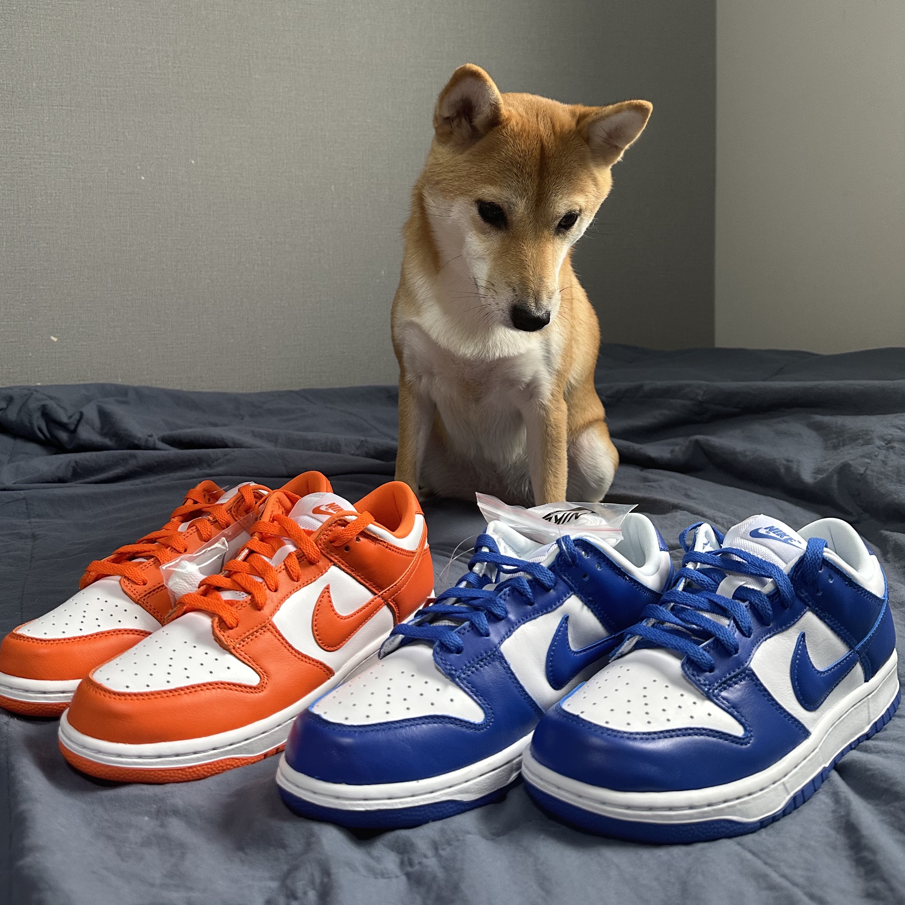 Nike Dunk Low SP Syracuse 2022, Nike Dunk Low SP Kentucky 2022 착용 스타일
