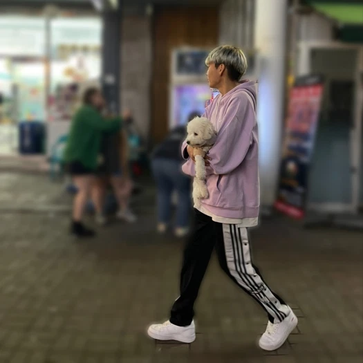 스타일 카드