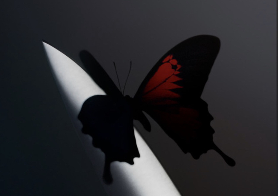 관심 유저 프로필 이미지