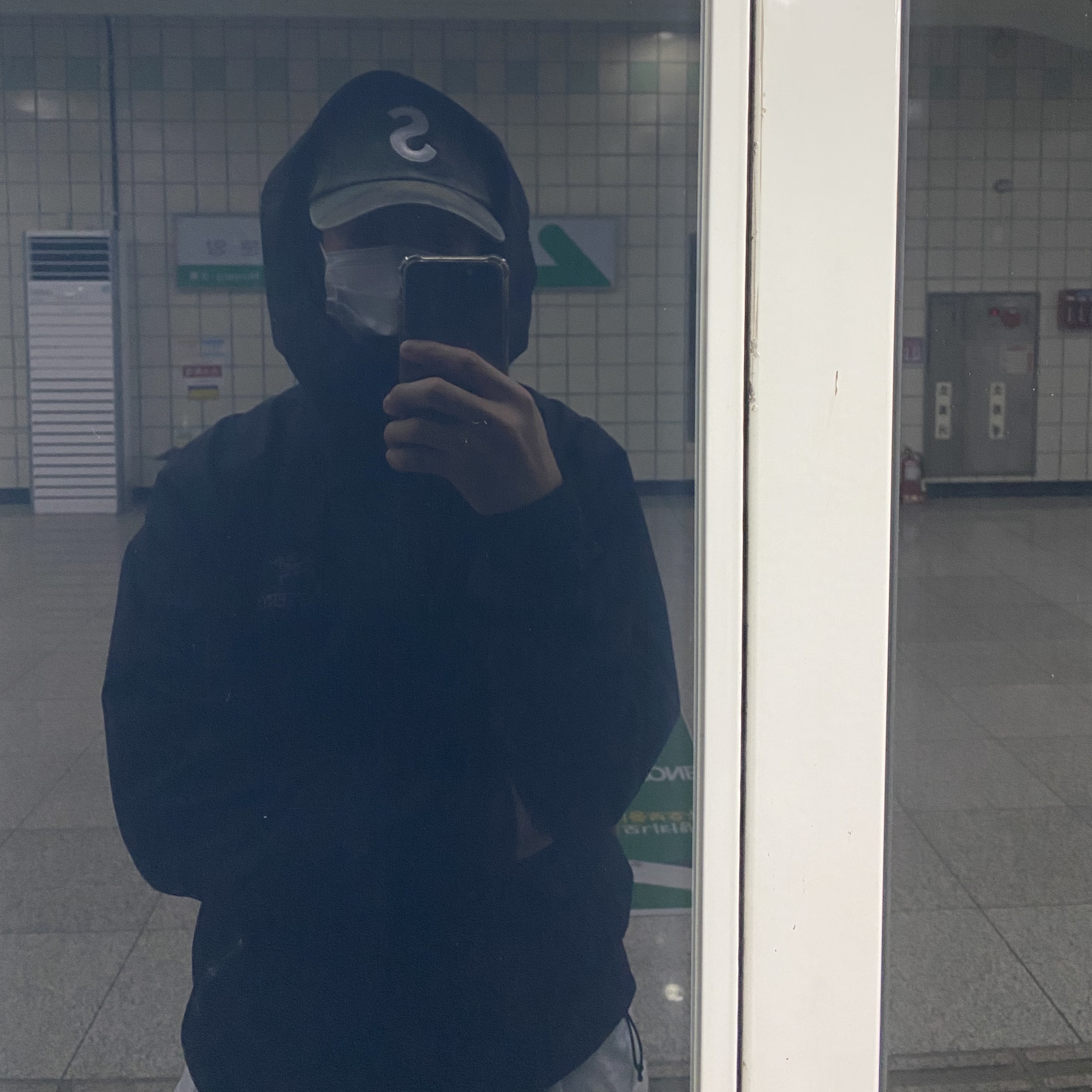 Arc'teryx Beta LT Jacket Black, Supreme Pigment Print S Logo 6-Panel Woodland Camo - 20SS 착용 스타일