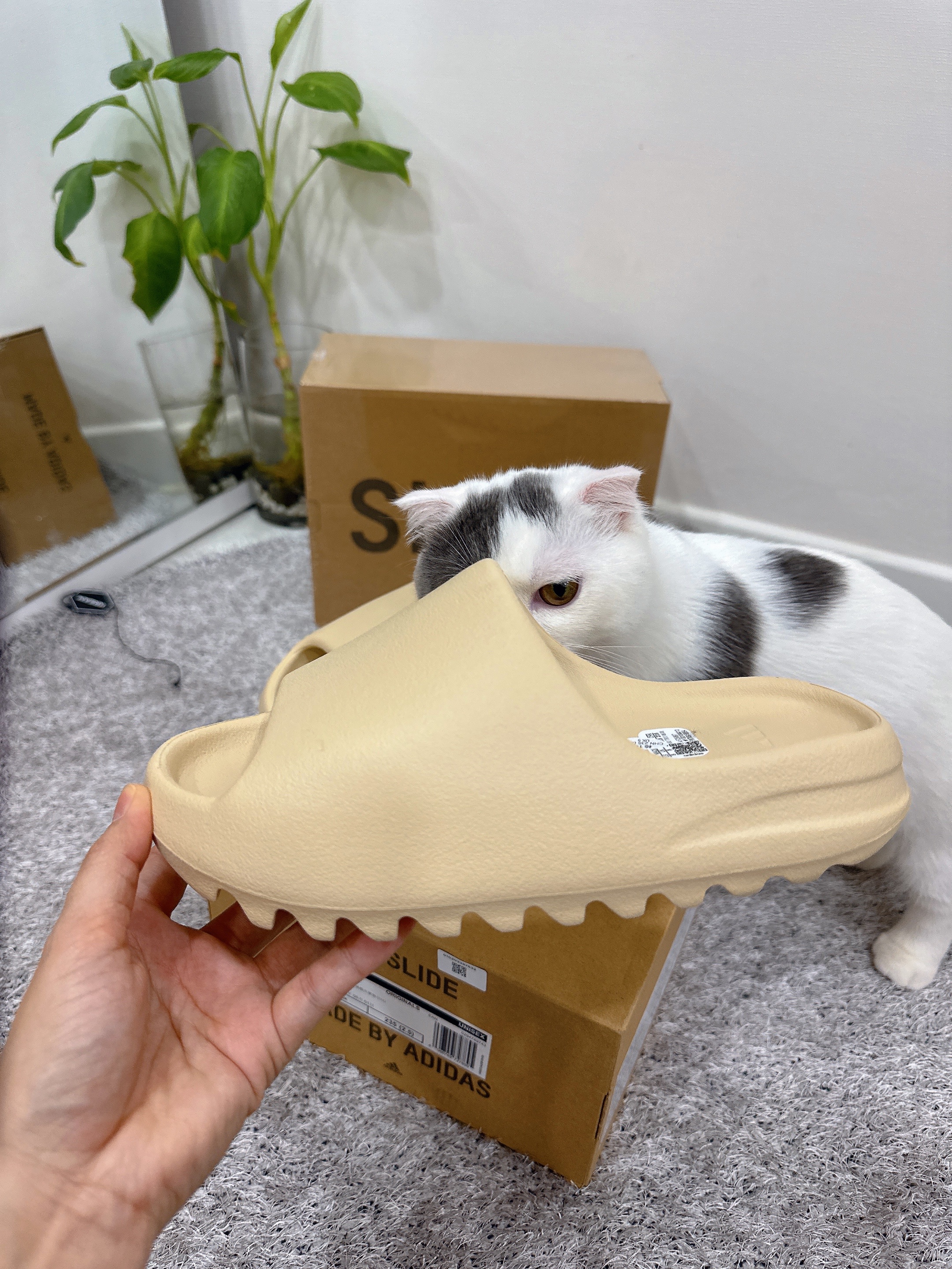 Adidas Yeezy Slide Bone 2022/2023, IAB Studio Pigment Hoodie Royal Blue - 22FW 착용 스타일 - 4
