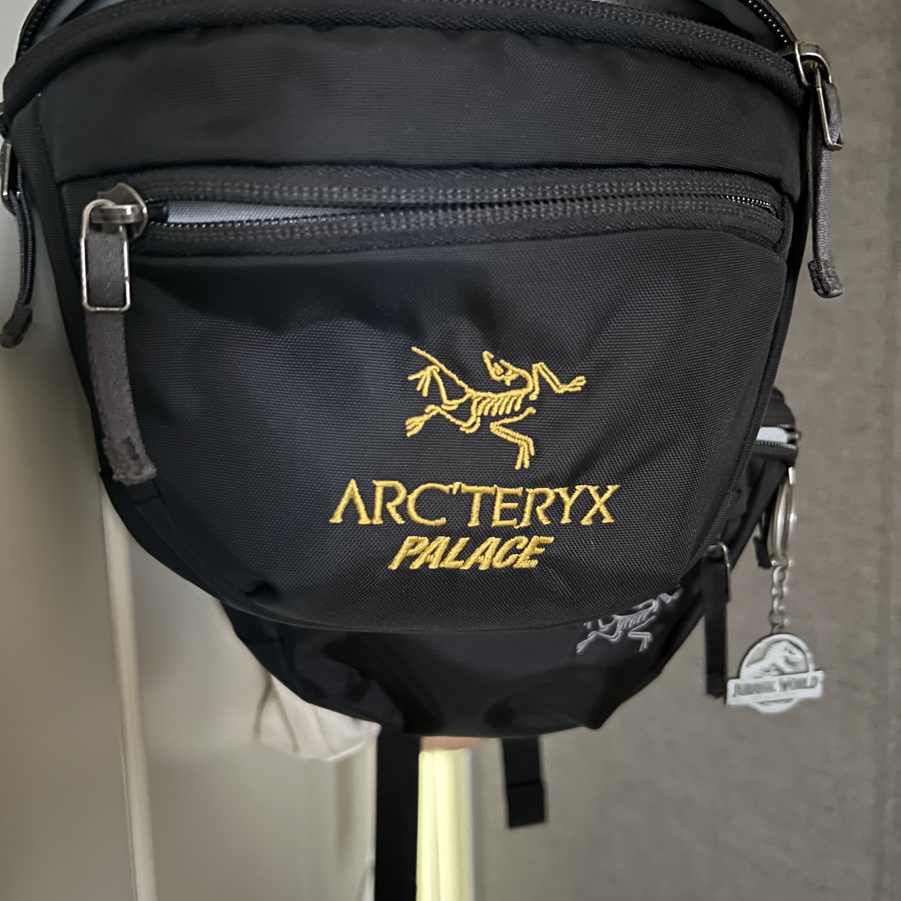 Palace x Arc'teryx Mantis 1 Waistpack - 20FW 착용 스타일