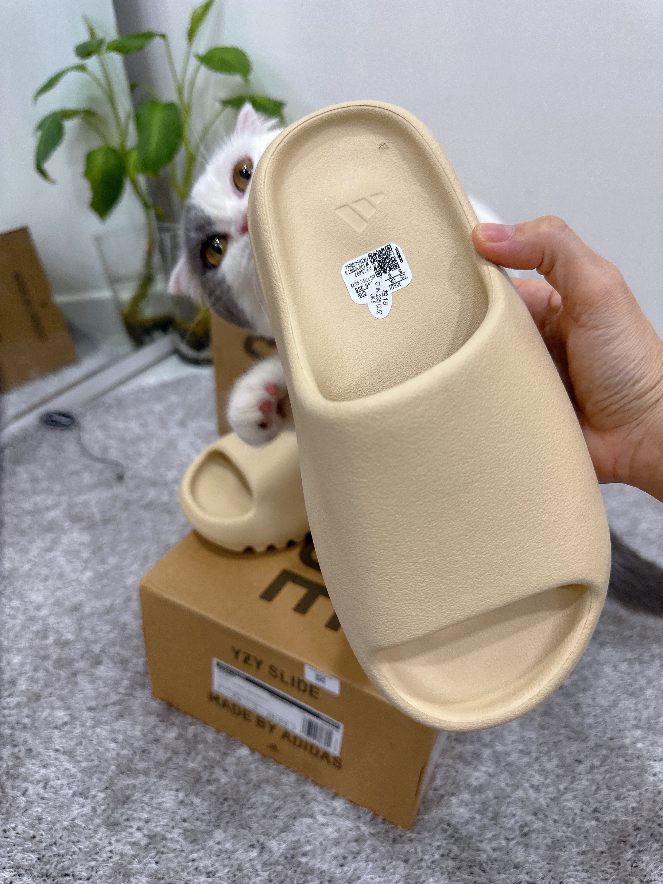 Adidas Yeezy Slide Bone 2022/2023, IAB Studio Pigment Hoodie Royal Blue - 22FW 착용 스타일 - 3