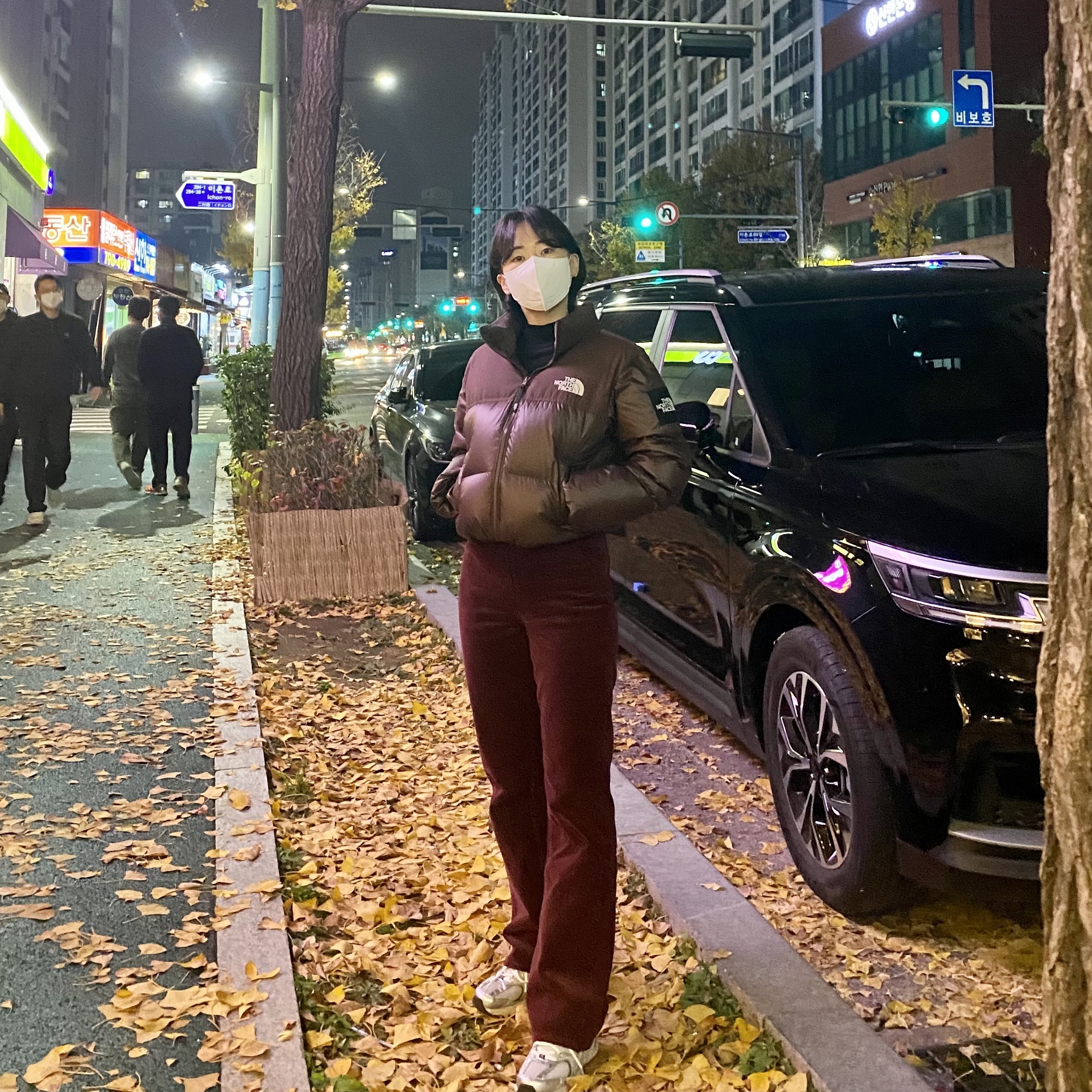 (W) The North Face White Label Novelty Nuptse Down Jacket Cocoa Brown 착용 스타일