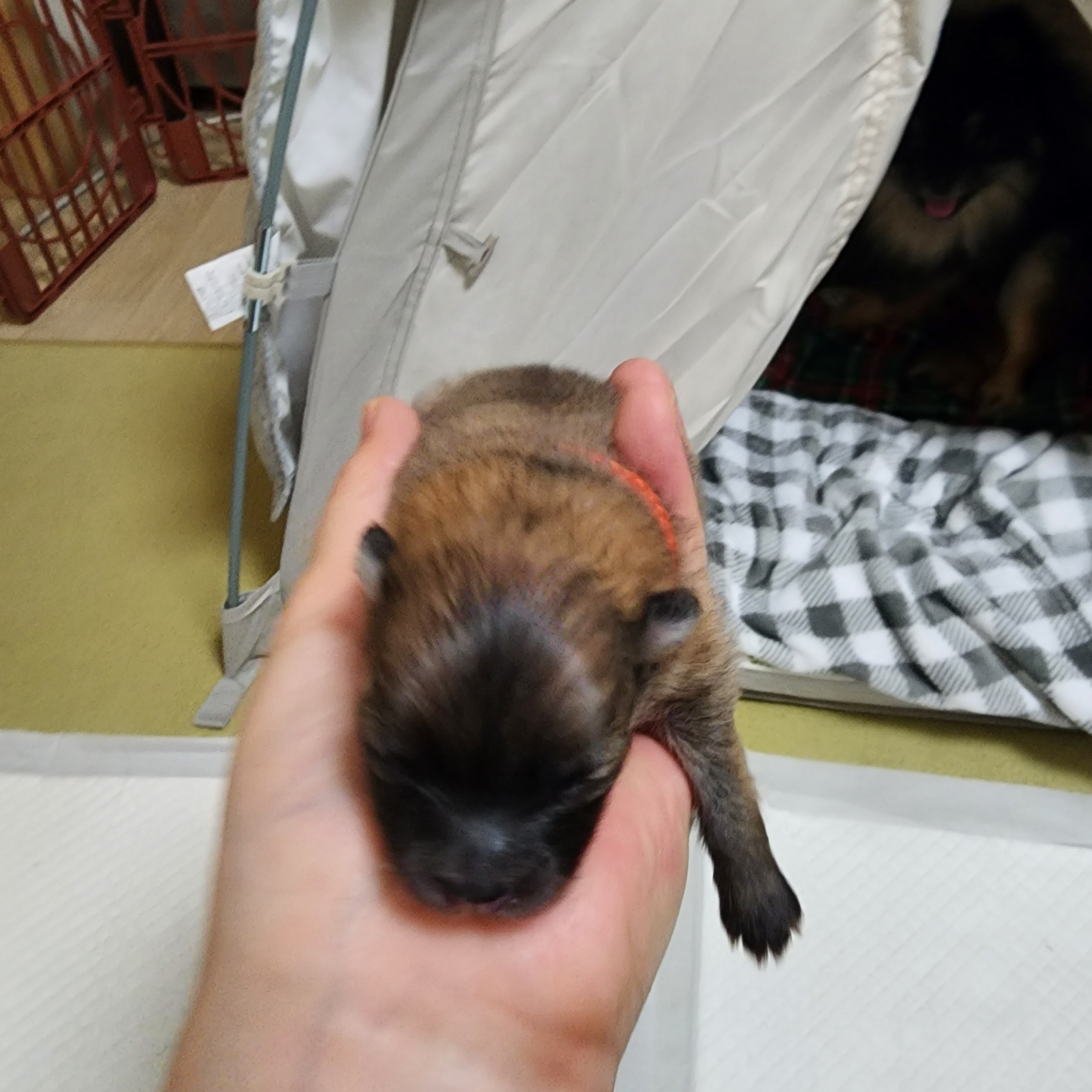 김성록님의 스타일 - 2
