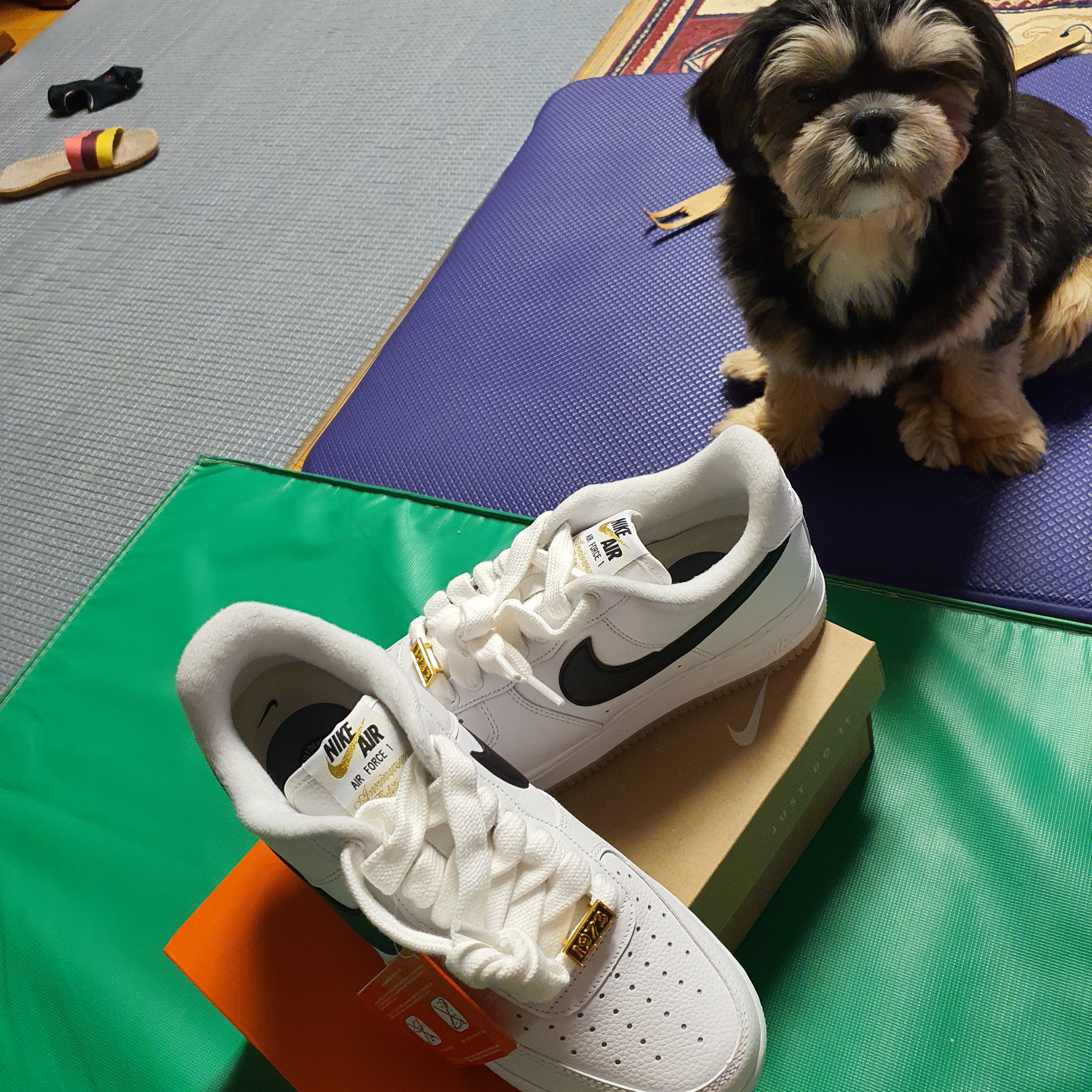 Nike Air Force 1 '07 PRM Bronx Origins 착용 스타일 - 4