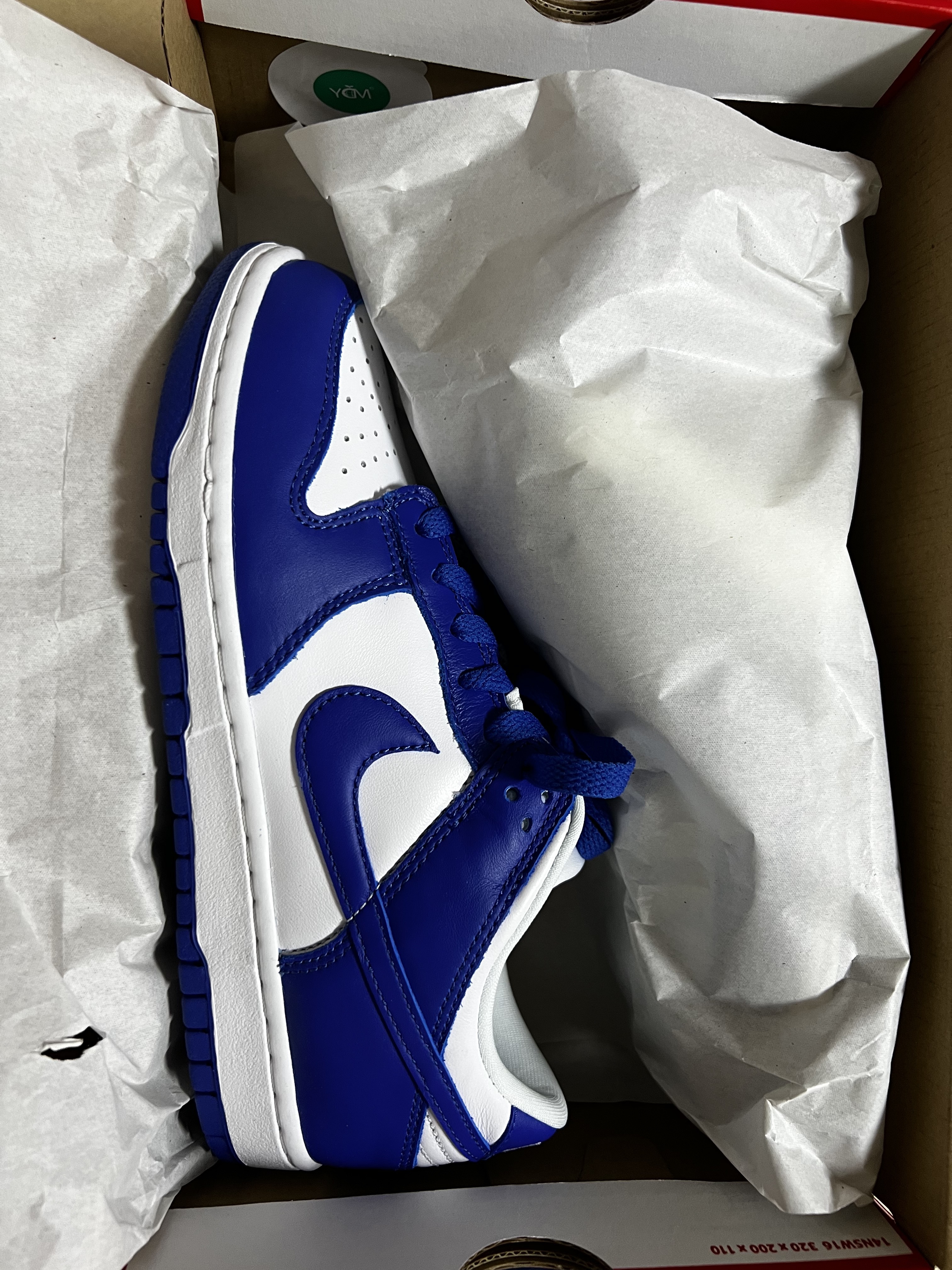 Nike Dunk Low SP Kentucky 2022 착용 스타일