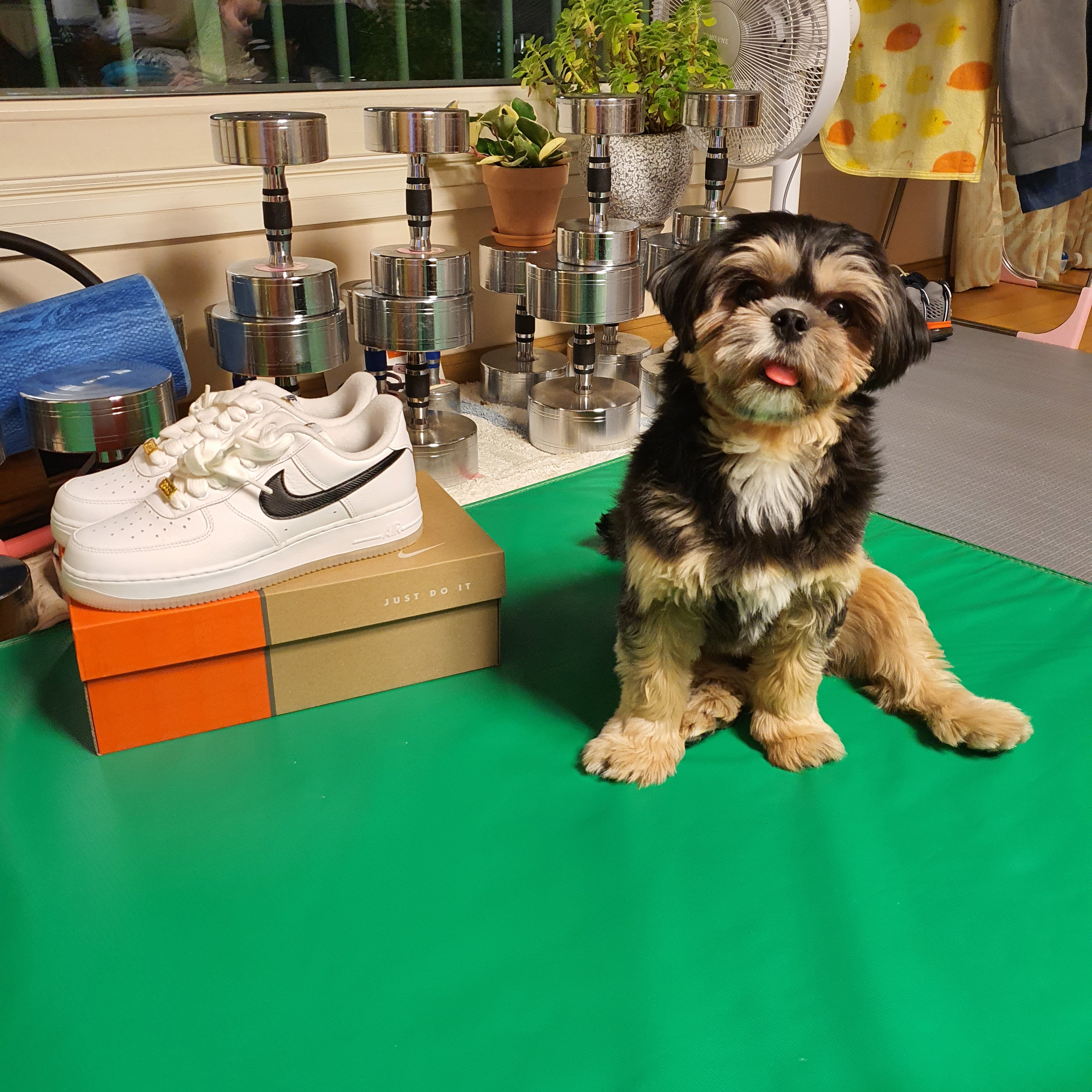 Nike Air Force 1 '07 PRM Bronx Origins 착용 스타일 - 5