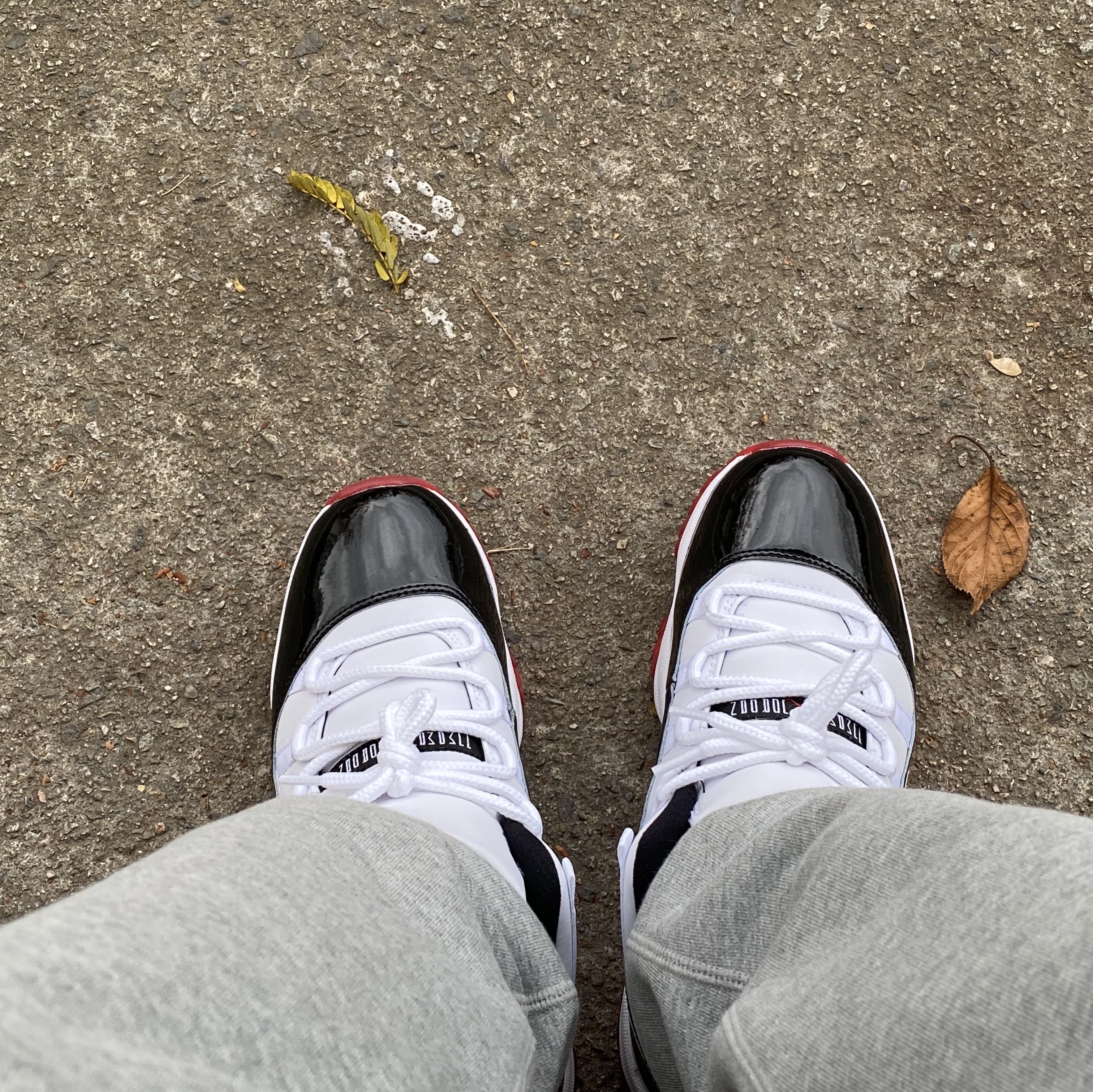Jordan 11 Retro Low Concord Bred, Nike x Stussy NRG ZR Fleece Pants Heather Grey - US/EU 착용 스타일