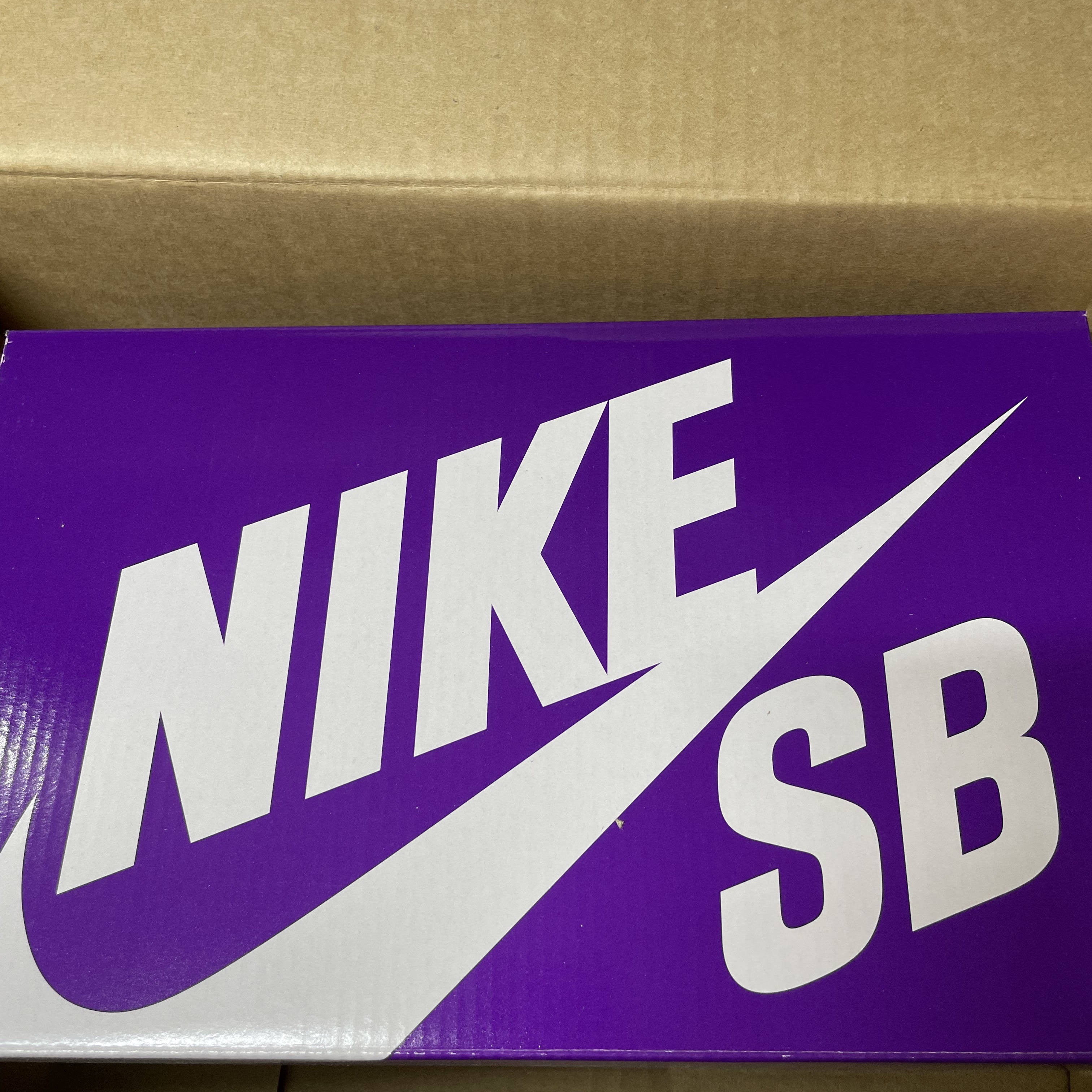 Nike x Why So Sad? SB Dunk Low Pro Coastal Blue 착용 스타일 - 1