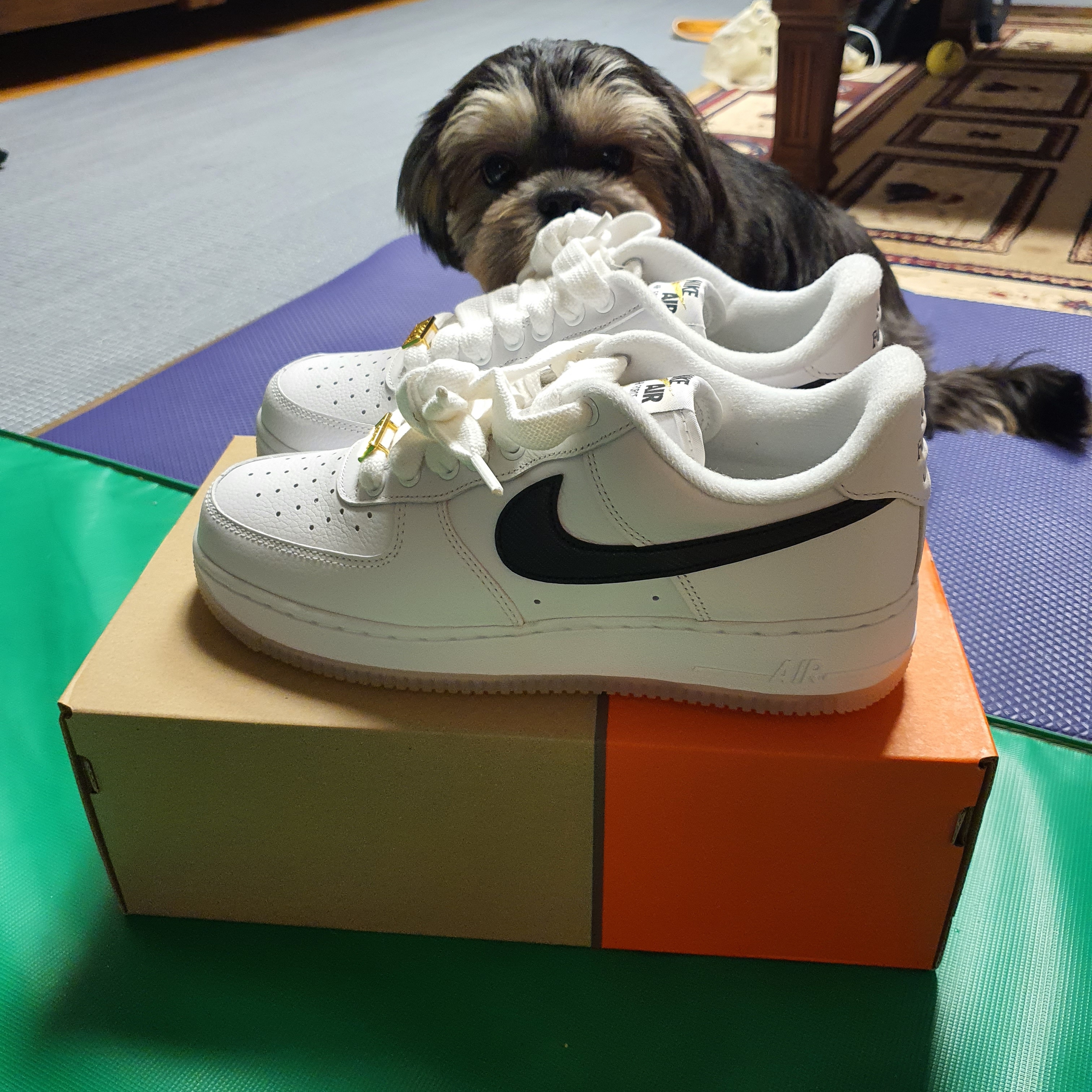 Nike Air Force 1 '07 PRM Bronx Origins 착용 스타일 - 1