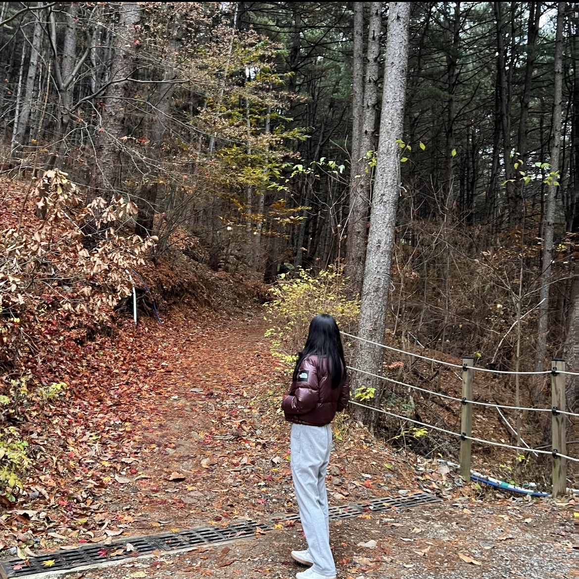 (W) The North Face White Label Novelty Nuptse Down Jacket Cocoa Brown 착용 스타일