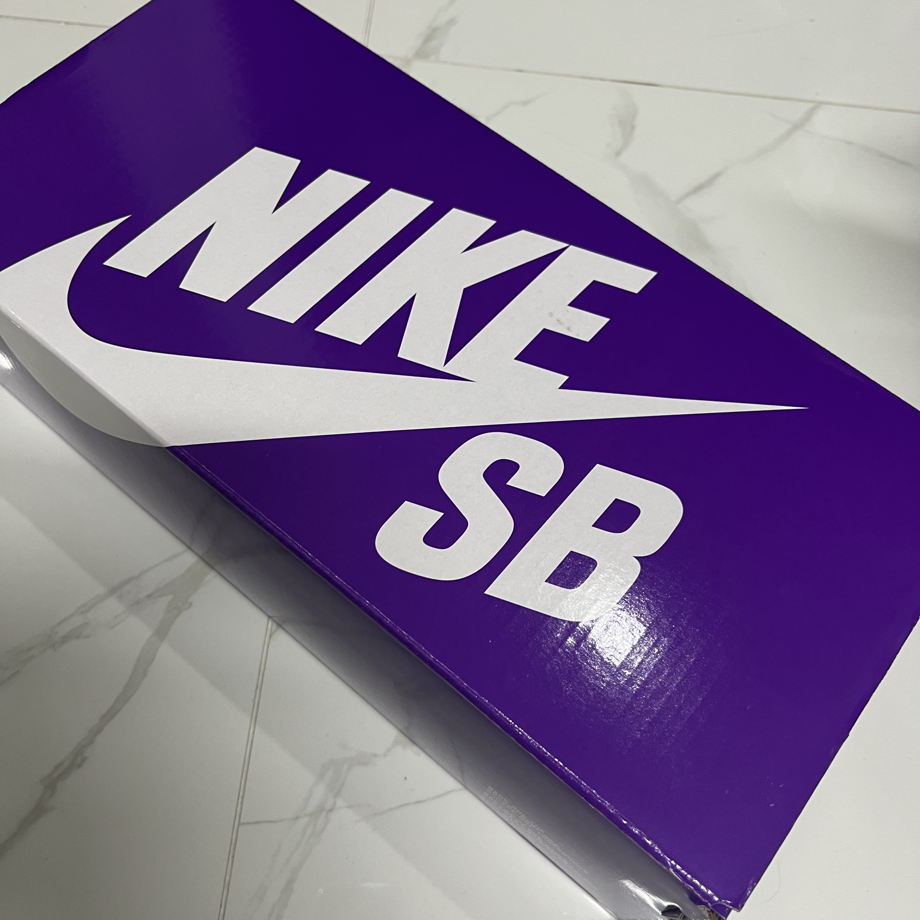 Nike x Why So Sad? SB Dunk Low Pro Coastal Blue 착용 스타일 - 4