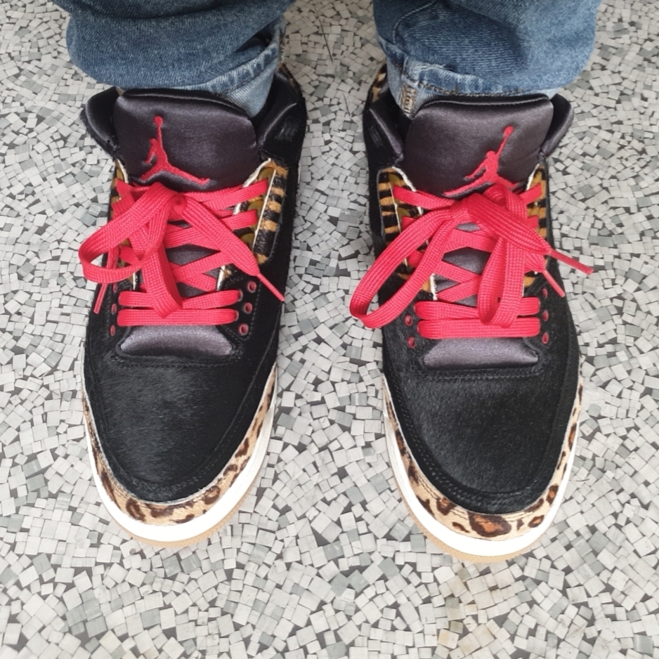 Jordan 3 Retro SE Animal Instinct 착용 스타일