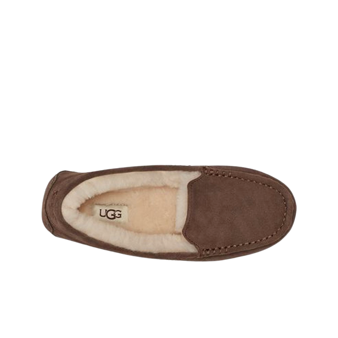 (W) UGG Ansley Espresso - Standard 상세 이미지 2