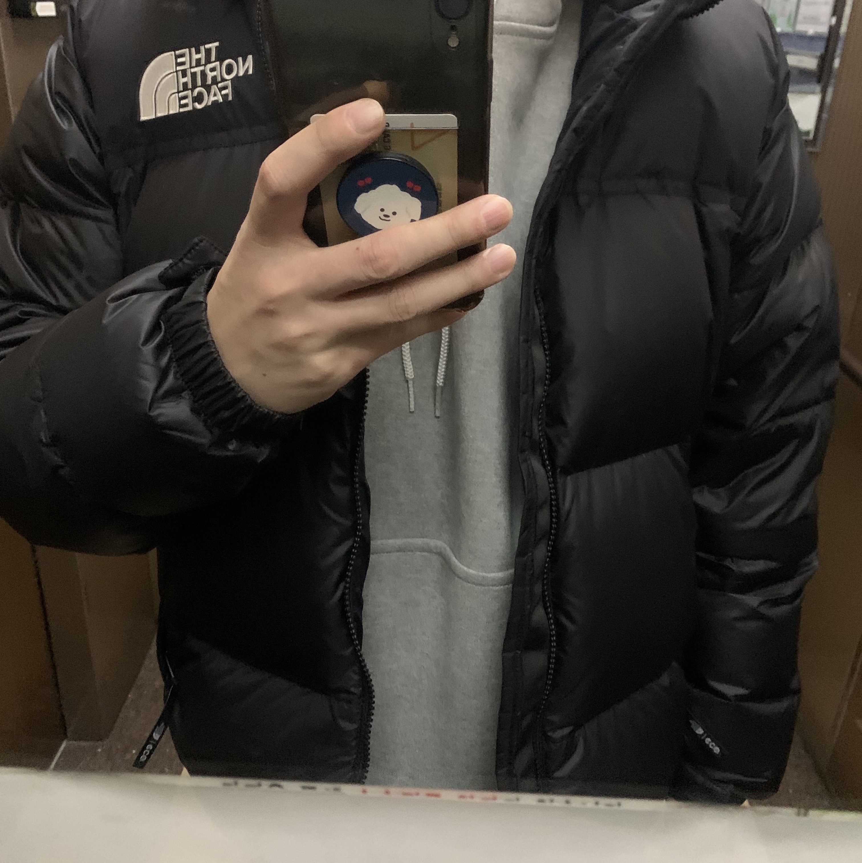 The North Face 1996 Eco Nuptse Jacket Black, Nike NRG Solo Swoosh Fleece Hoodie Dark Grey Heather - Asia 착용 스타일