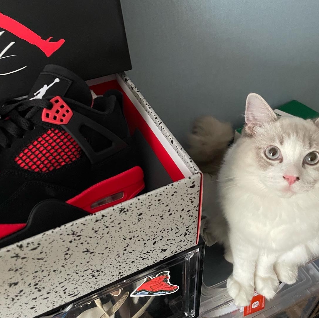 Jordan 4 Retro Crimson 착용 스타일 - 2