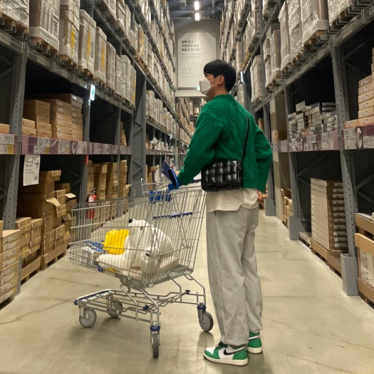 스타일 카드