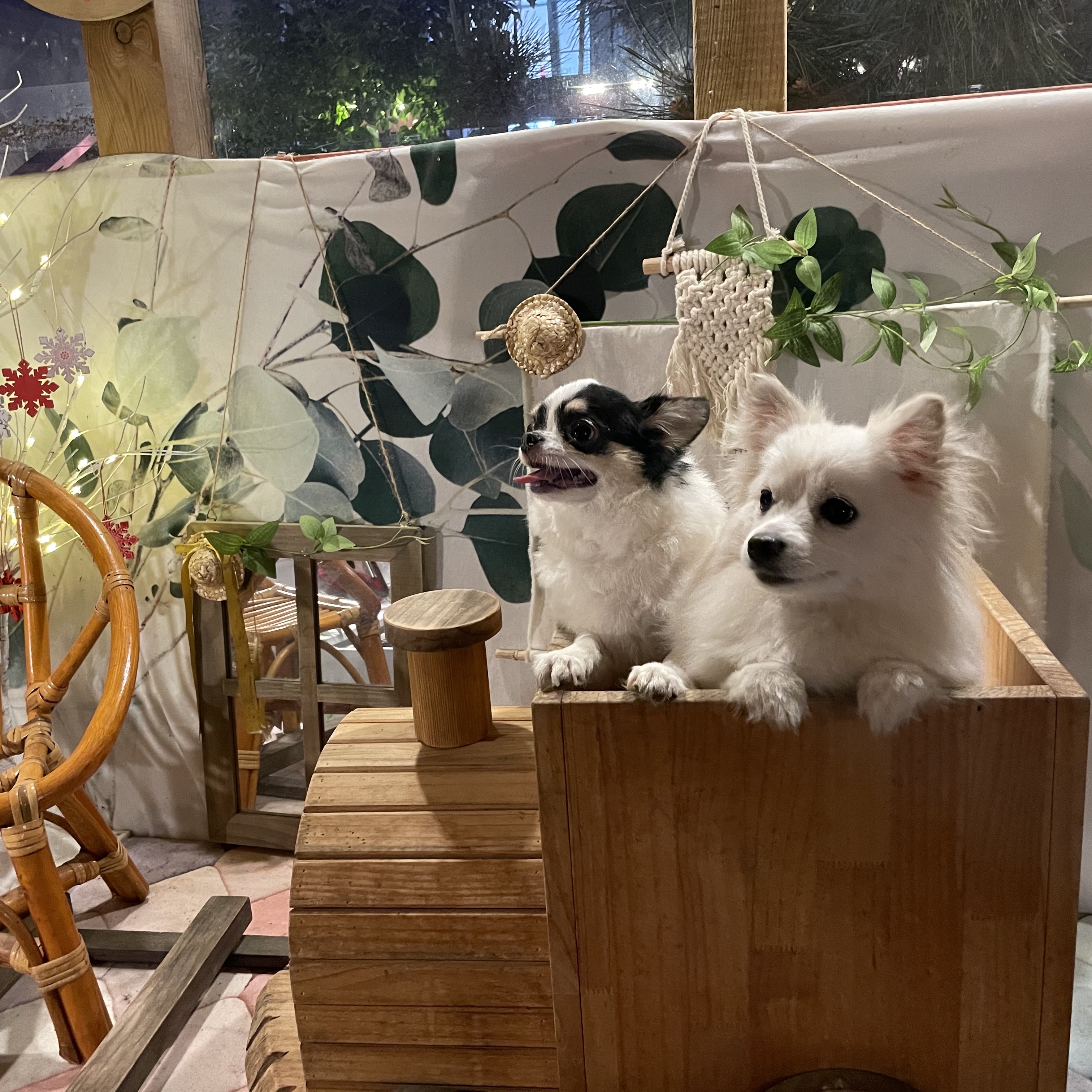 업템포님의 스타일 - 3