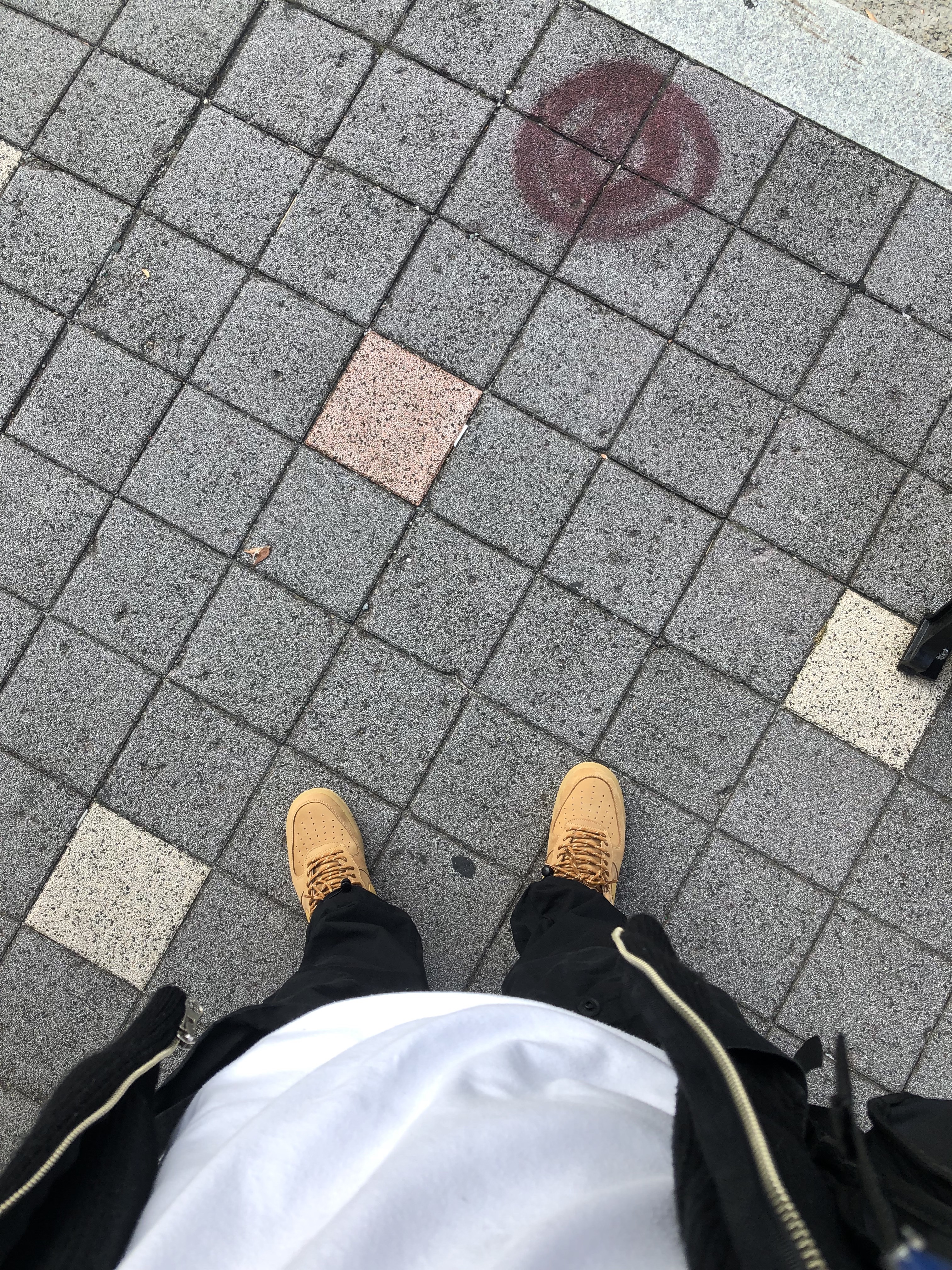 Nike Air Force 1 '07 WB Flax 착용 스타일