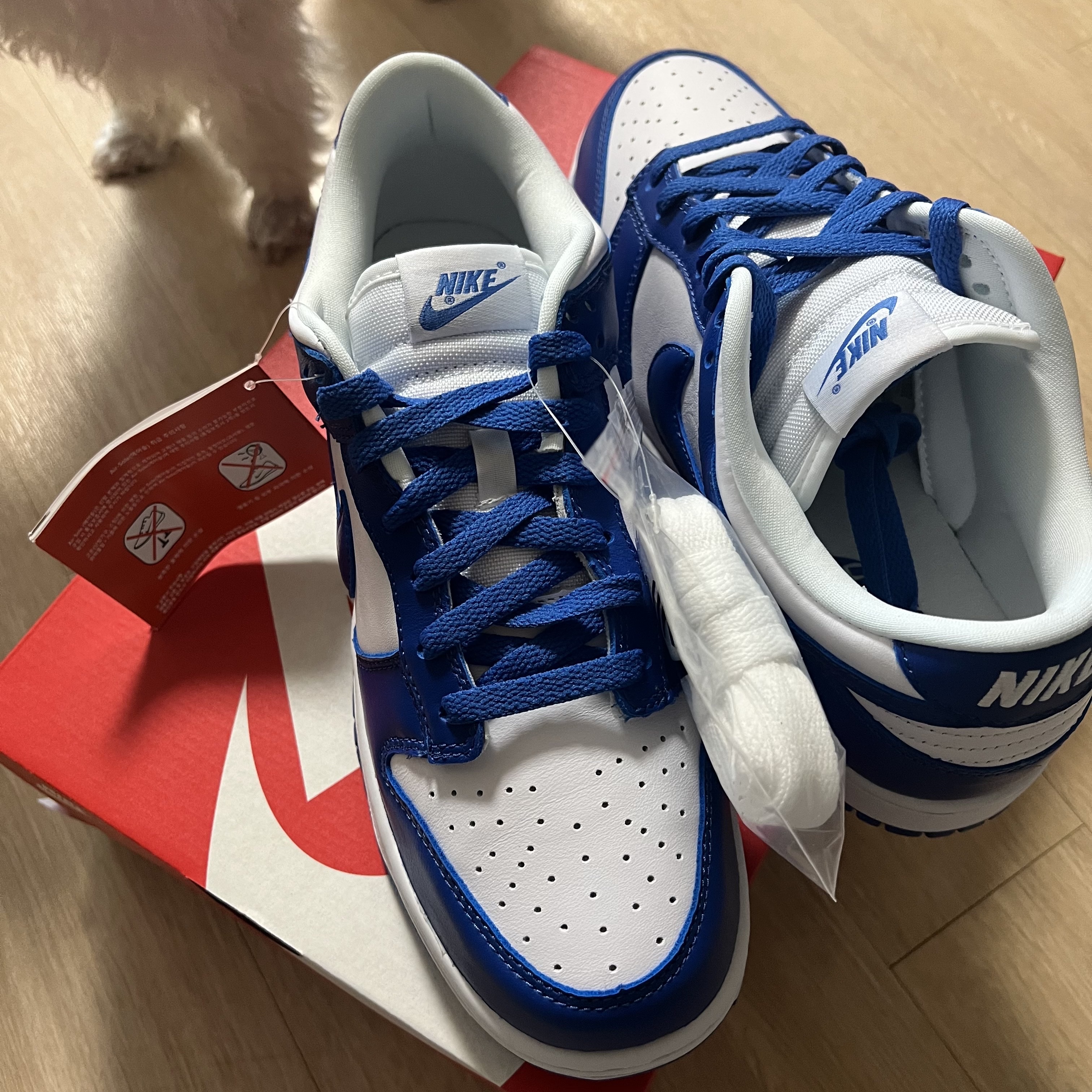 Nike Dunk Low SP Kentucky 2022 착용 스타일 - 3
