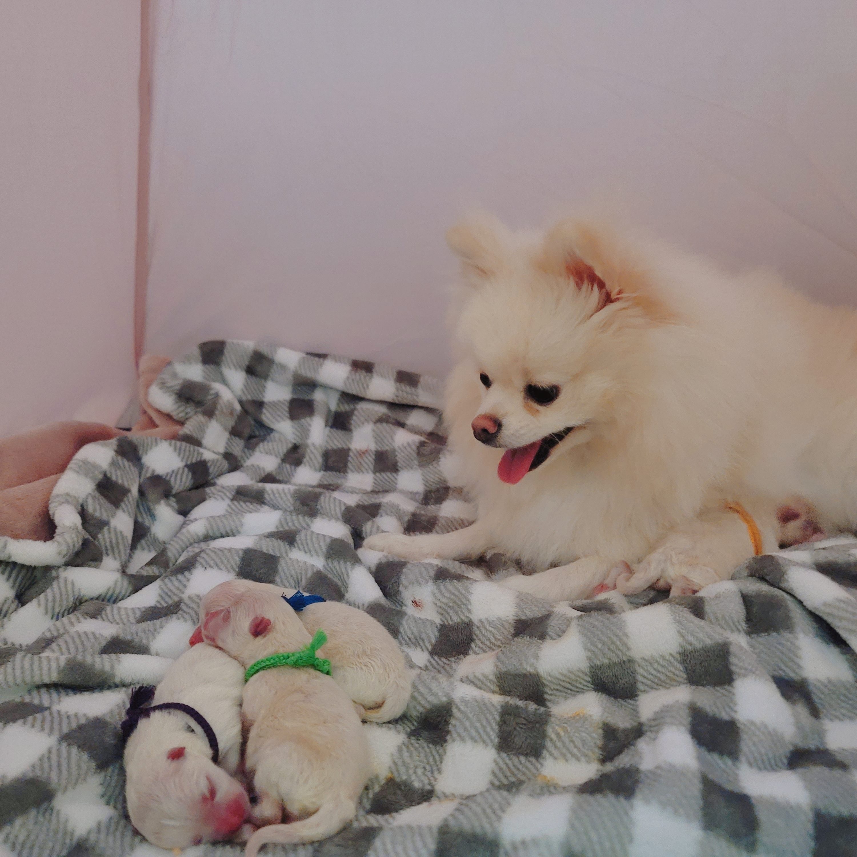 김성록님의 스타일