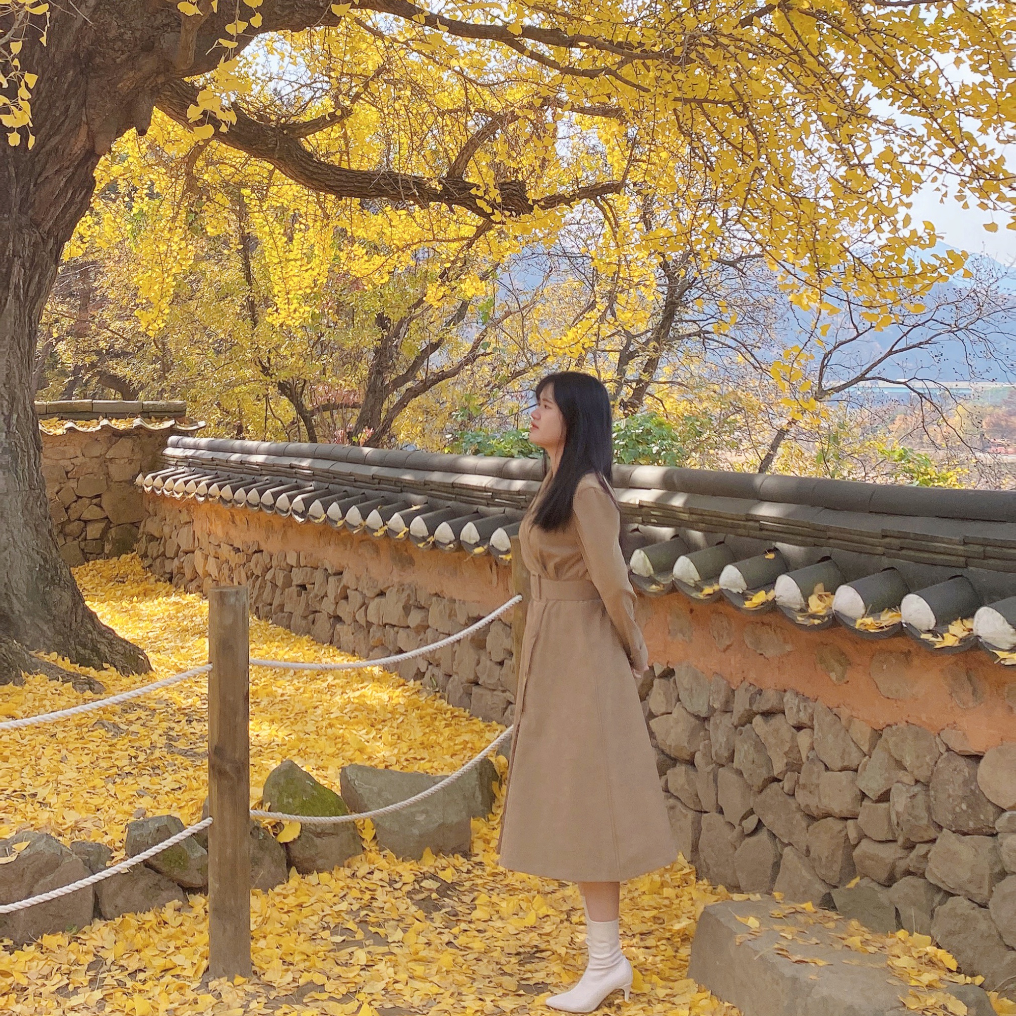 JiEun님의 스타일 - 1