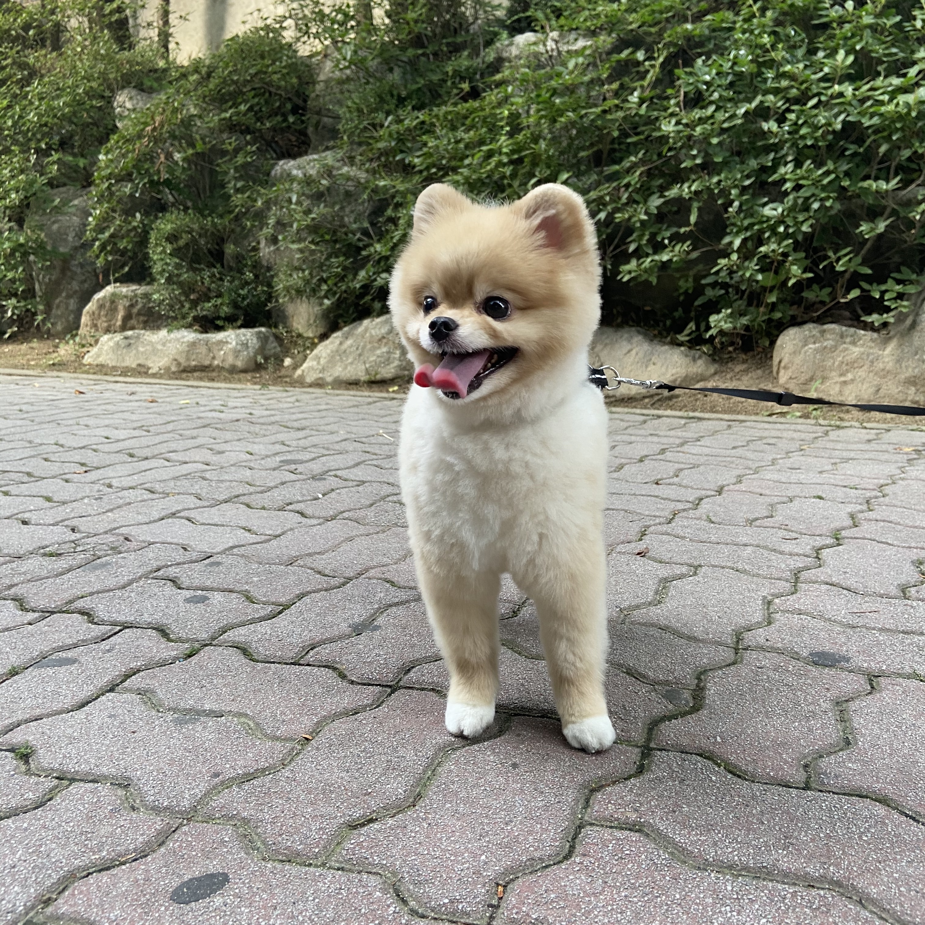 cynam0415님의 스타일