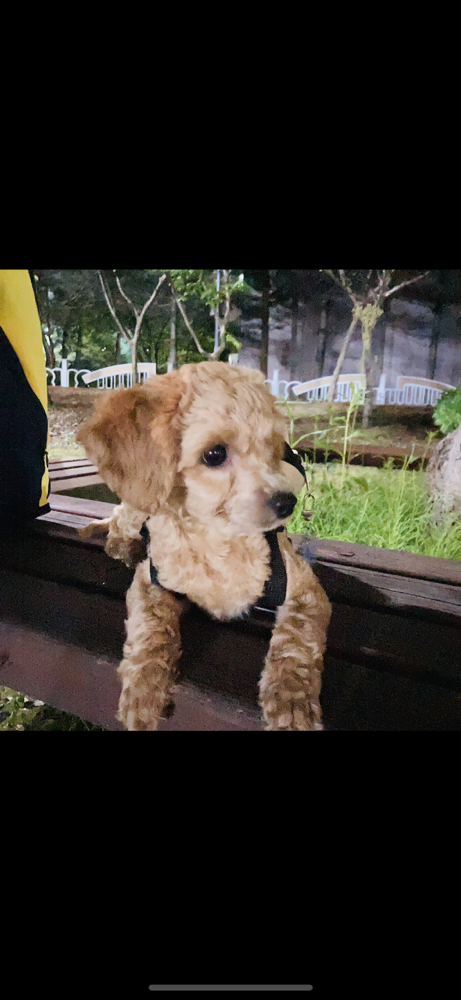 관심 유저 프로필 이미지