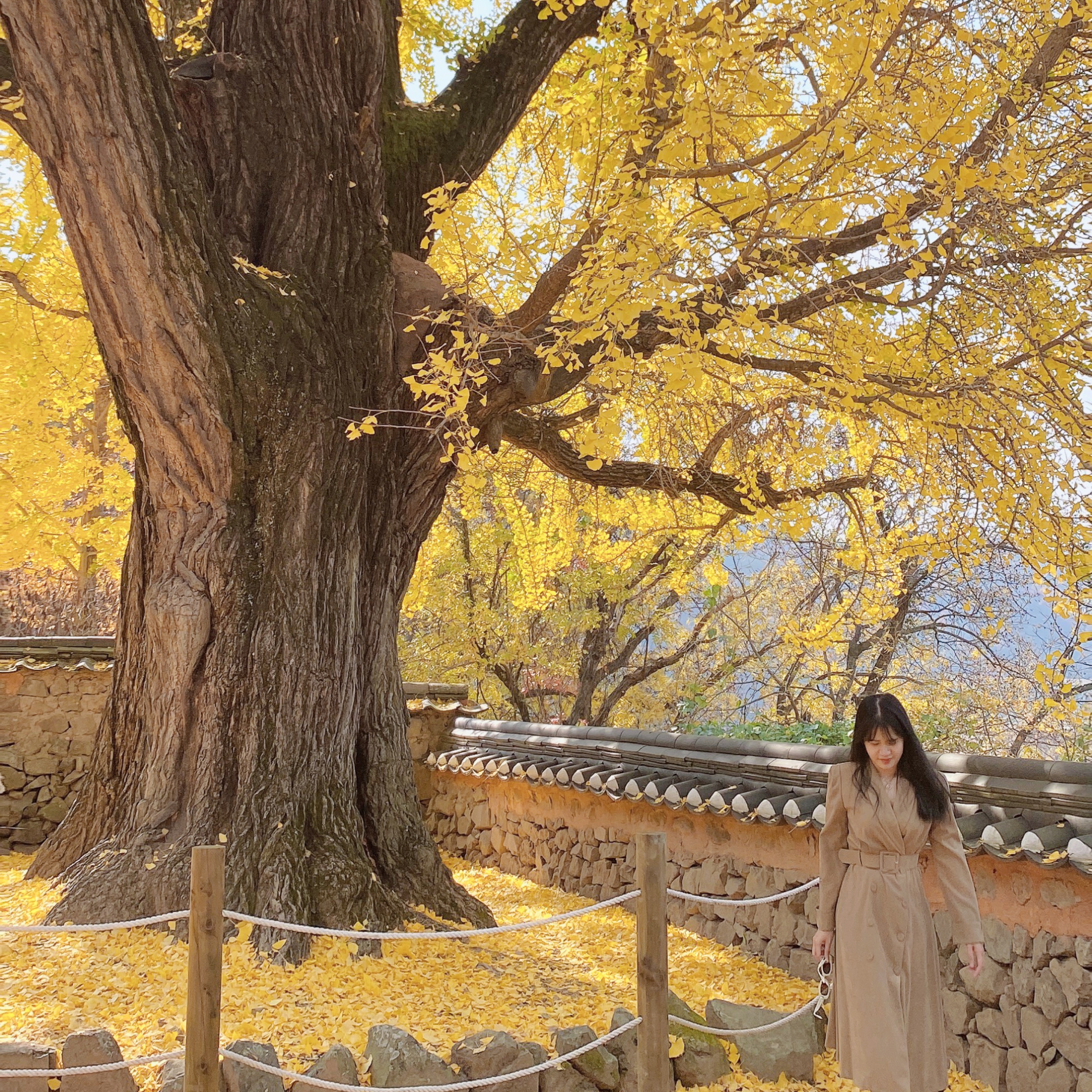 JiEun님의 스타일 - 3
