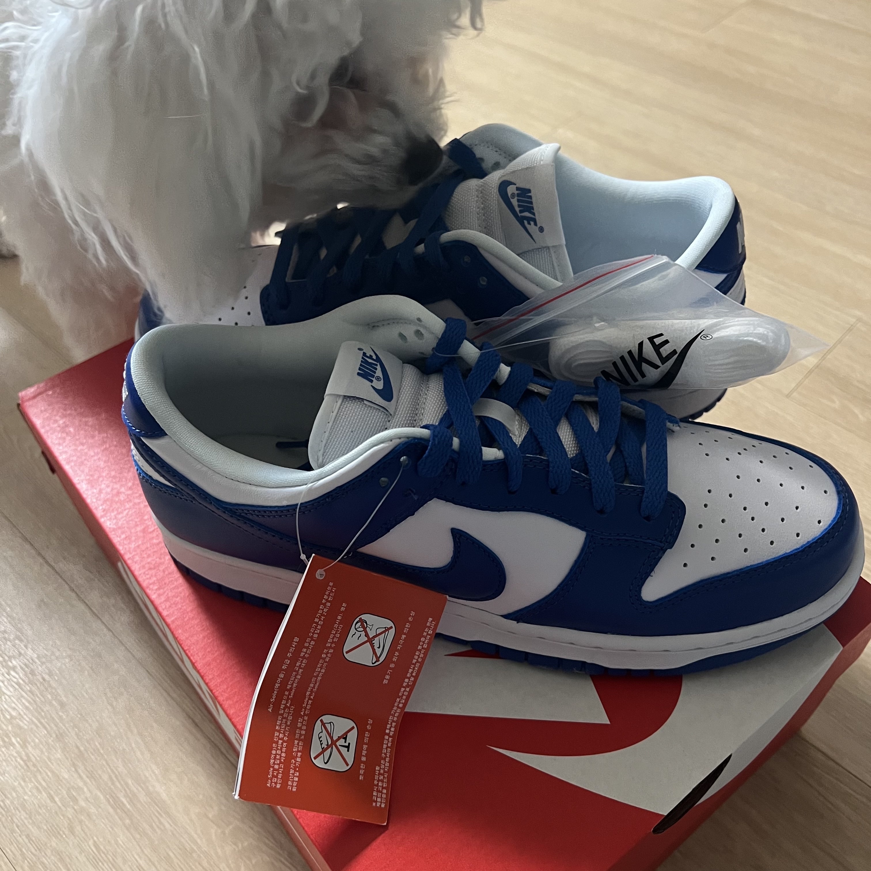 Nike Dunk Low SP Kentucky 2022 착용 스타일 - 2