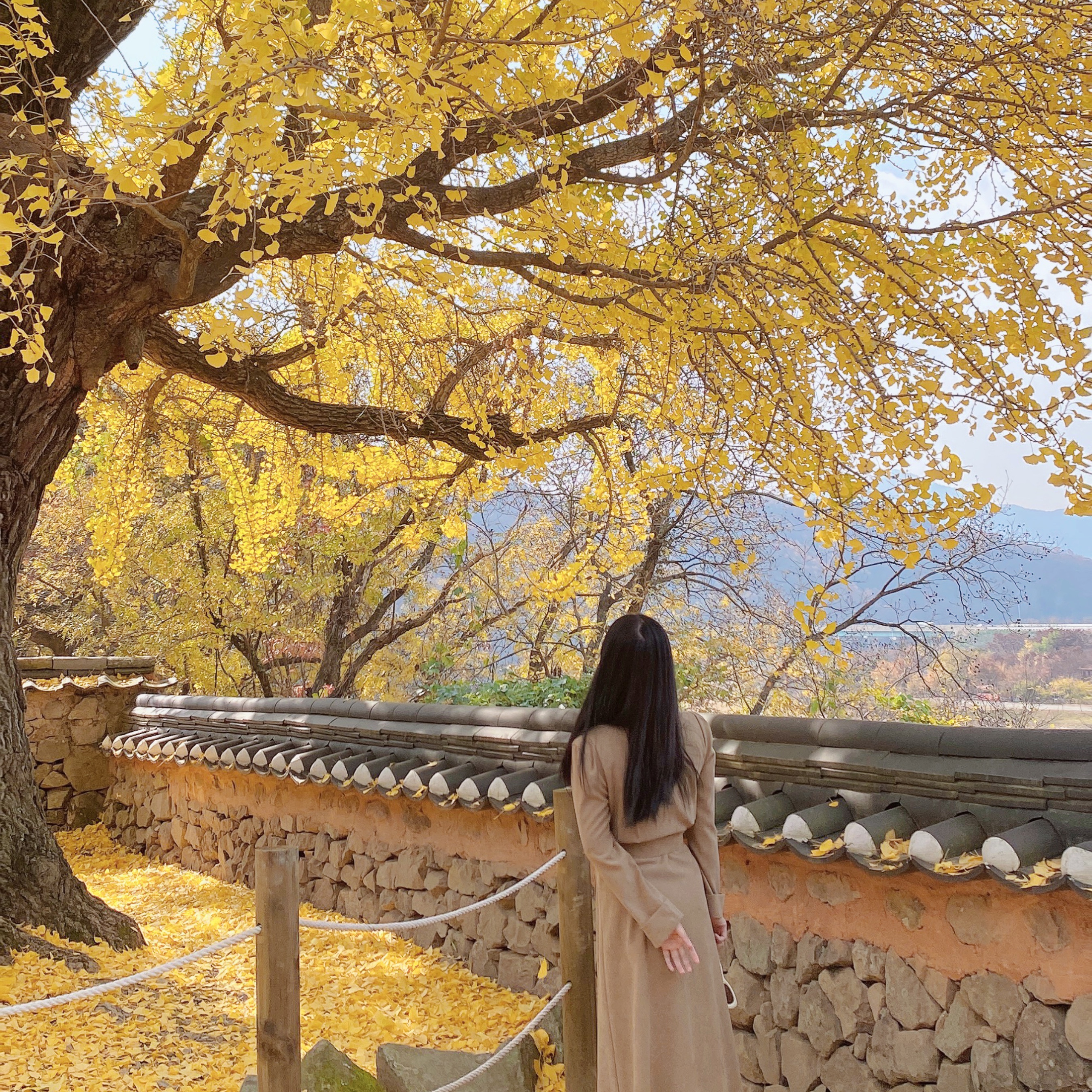 JiEun님의 스타일 - 2