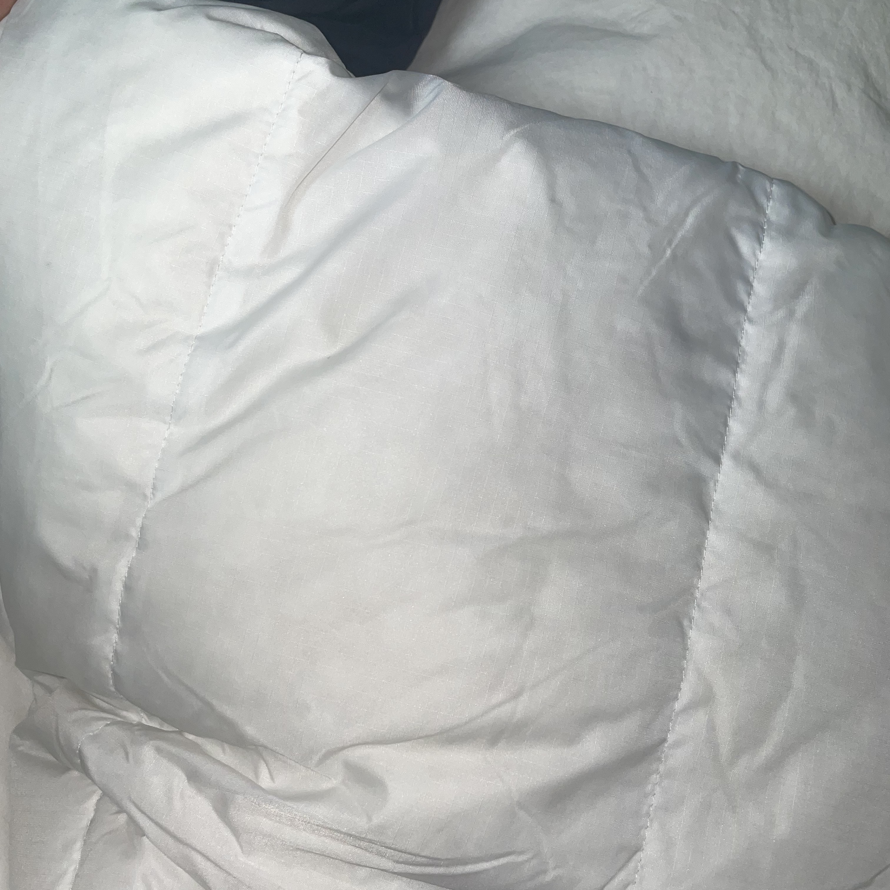 The North Face 1996 Eco Nuptse Jacket White 착용 스타일 - 2